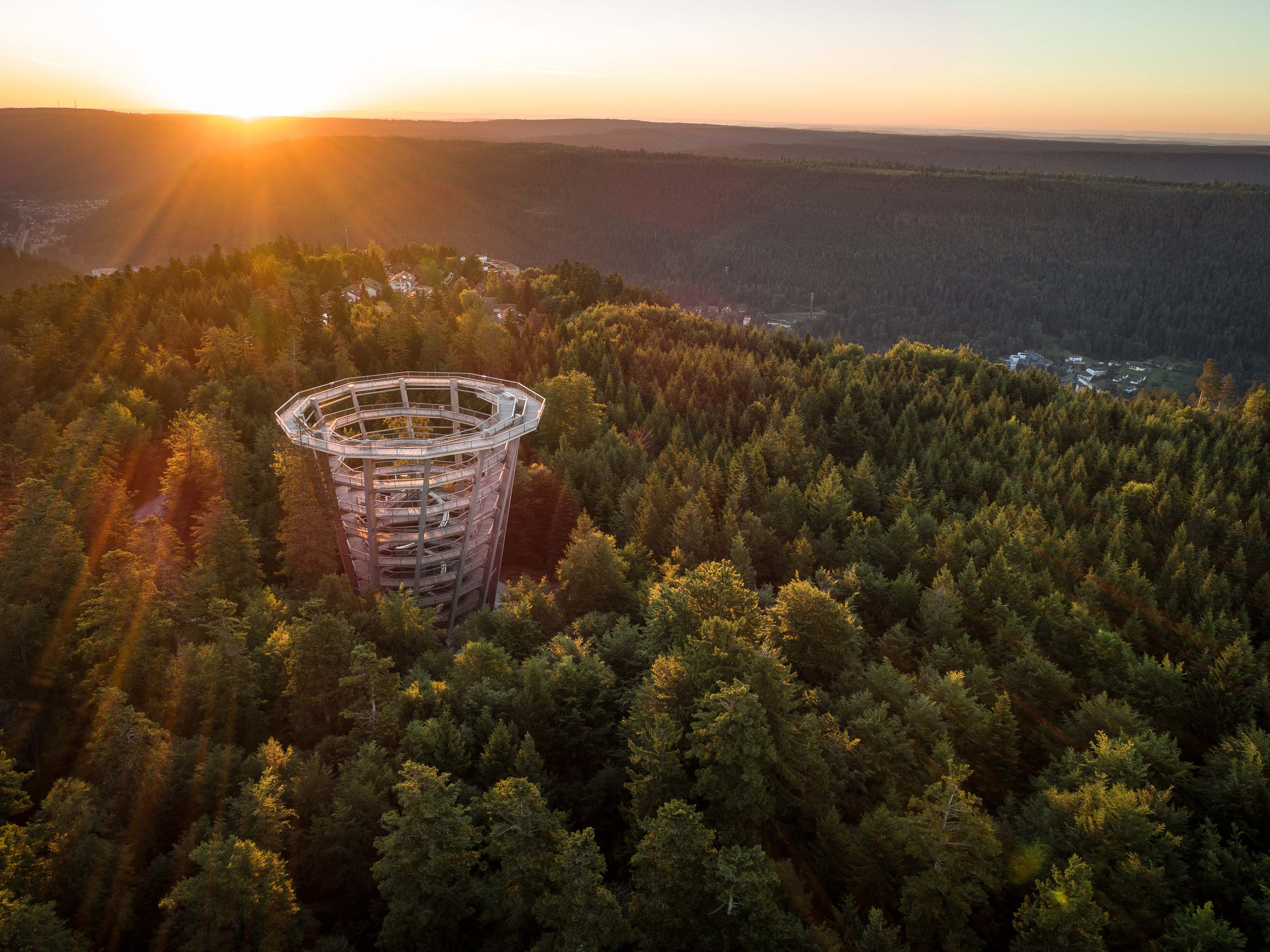 Baumwipfelpfad Schwarzwald