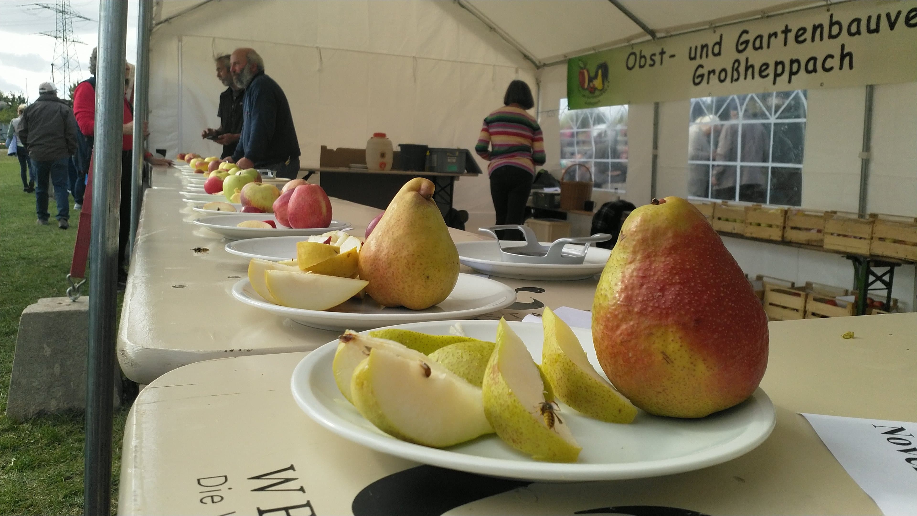 Obstsortenbestimmung bei Streuobsstag