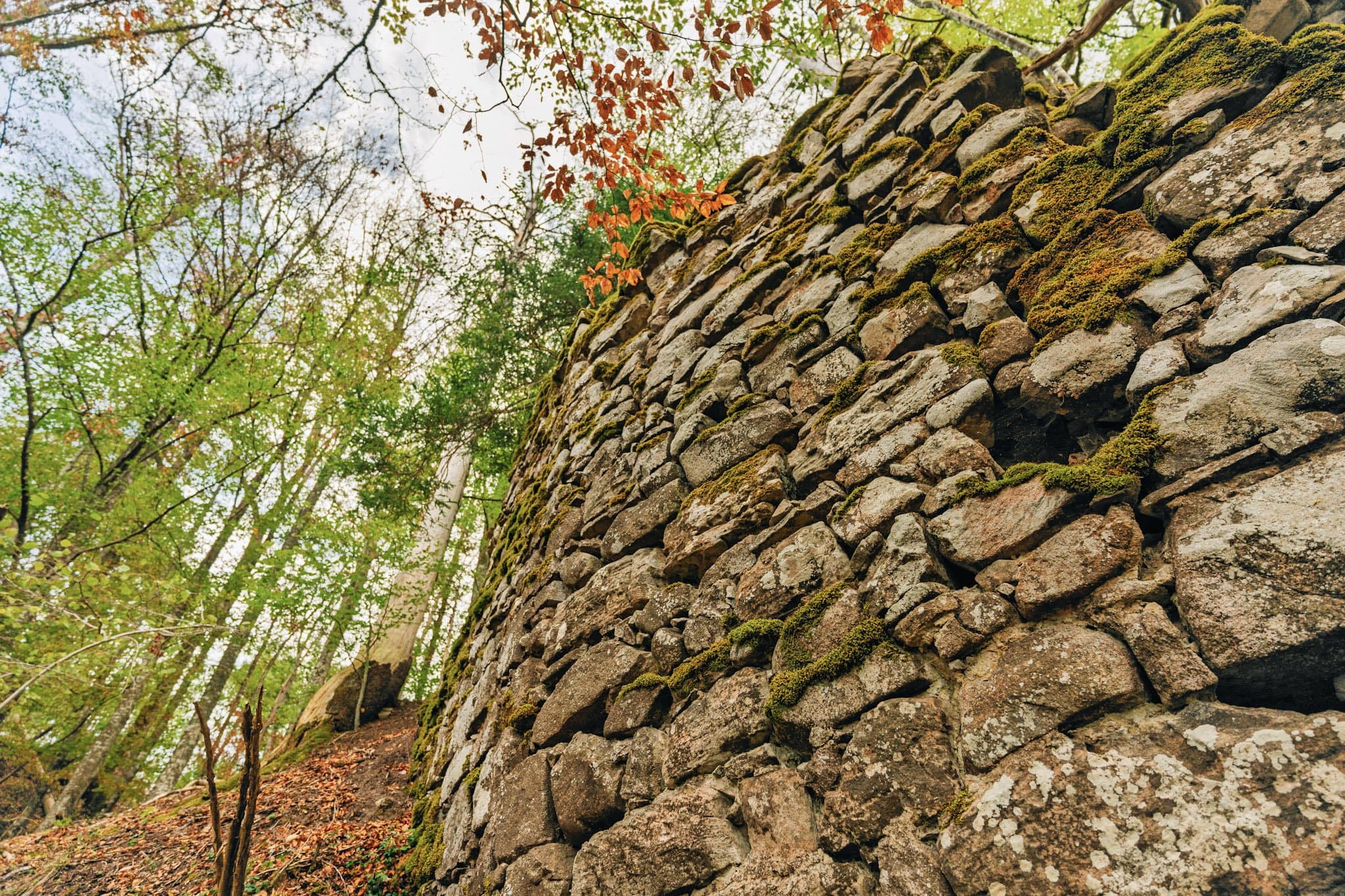 Blick vom Fuß der Ruine Mandrach an der Mauer hinauf