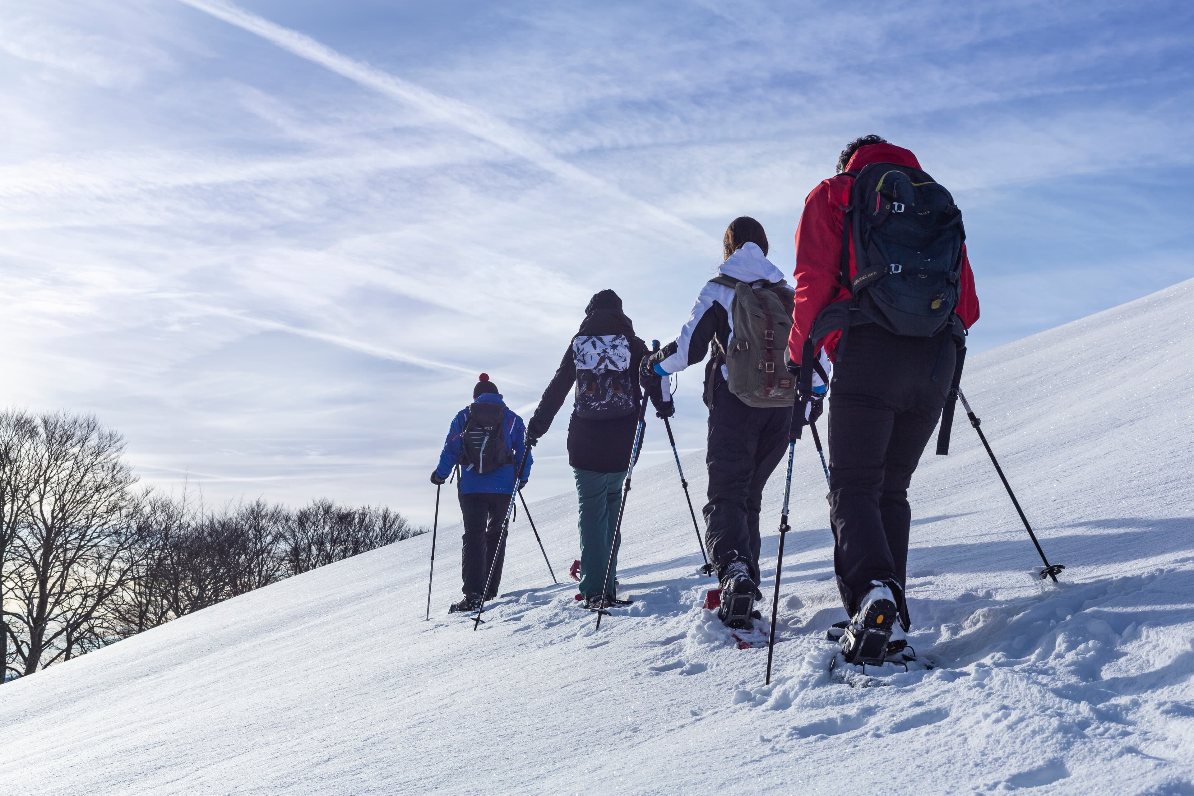 Schneeschuhwandern im Hochschwarzwald