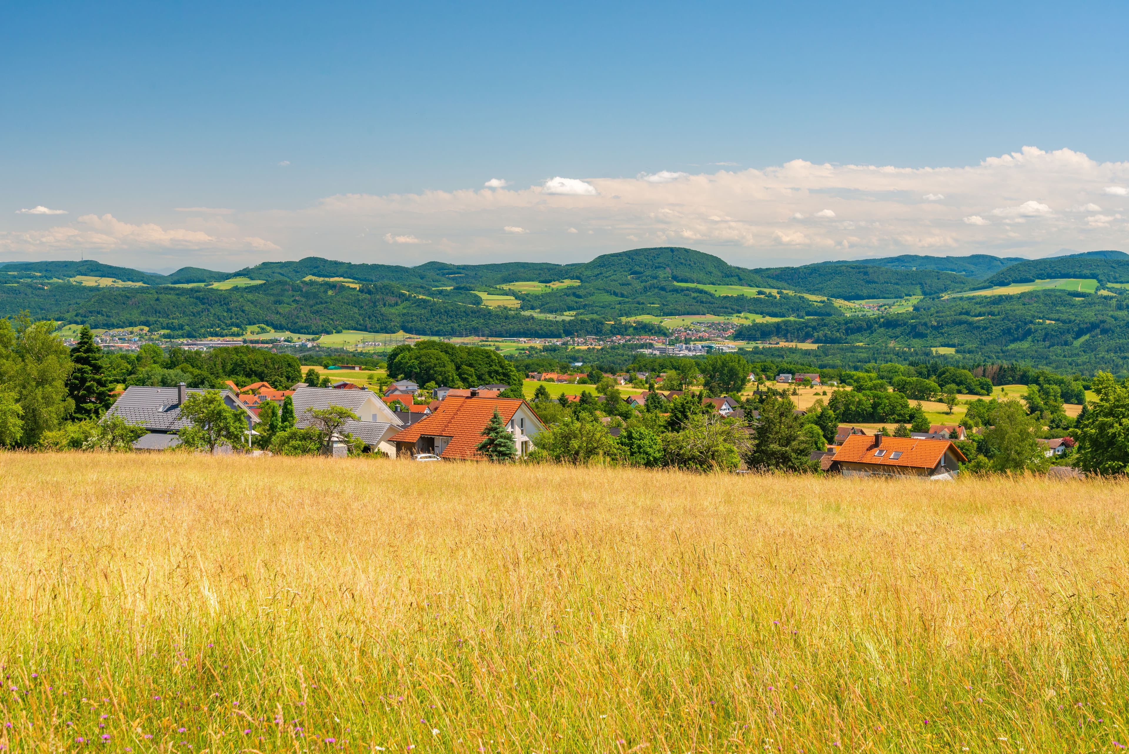 Rippolingen Dorf