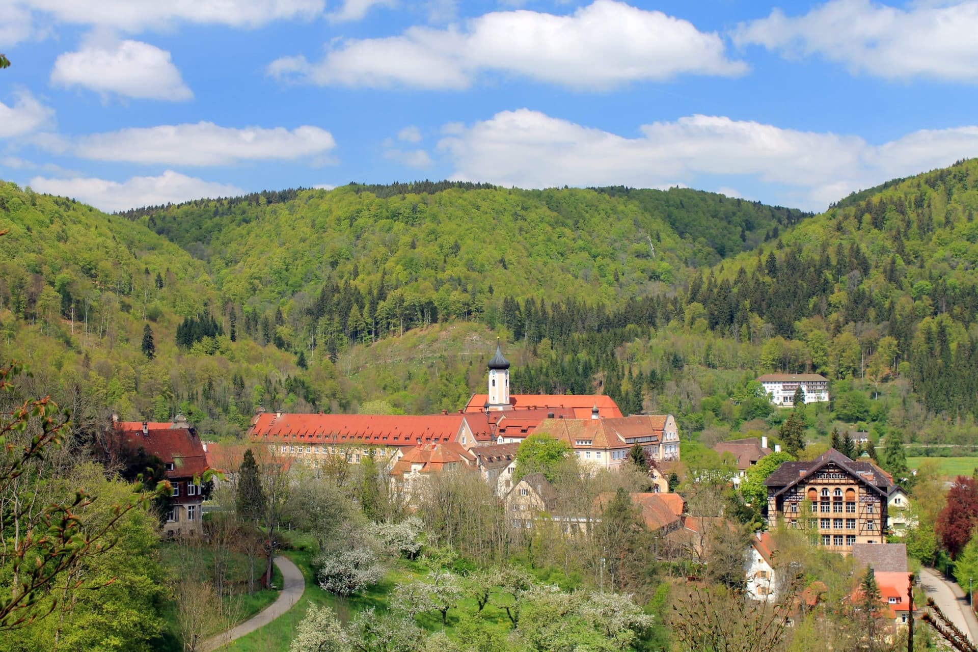 Blick auf Beuron mit blühenden Obstbäumen und frühlingsgrünem Wald