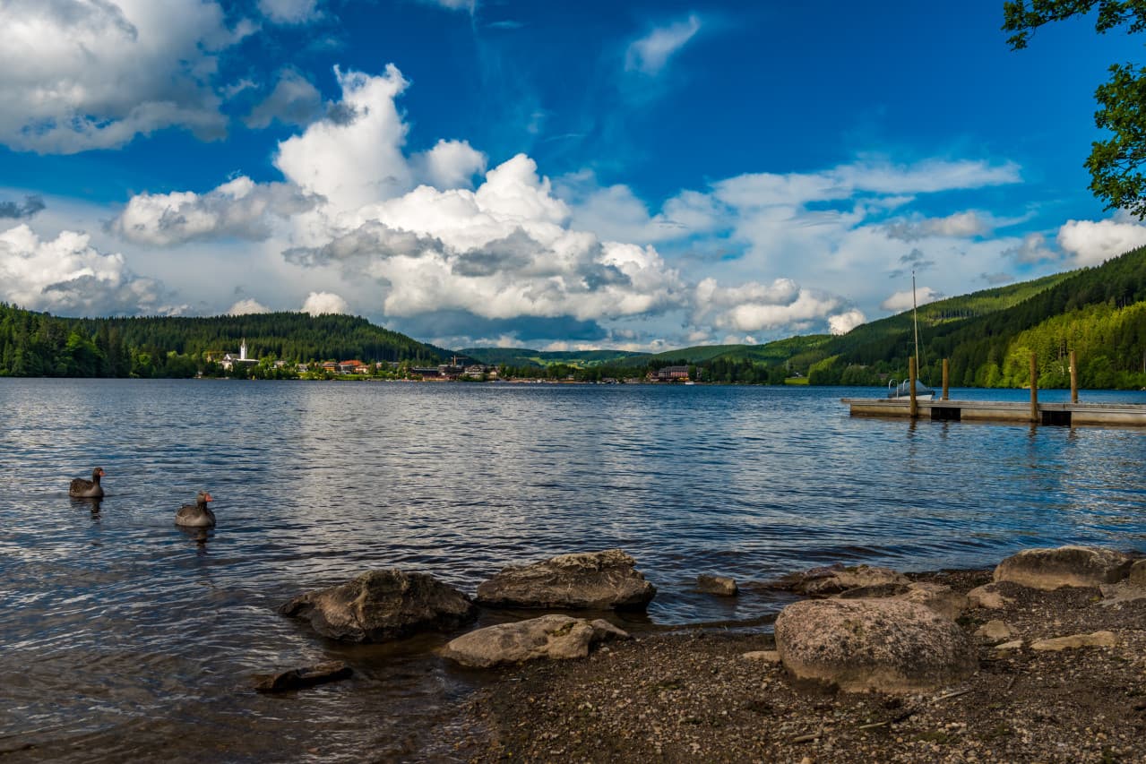 Ein idyllischer See mit klarer Wasseroberfläche, umgeben von grünen Wäldern und Hügeln. Zwei Enten schwimmen im Vordergrund, während am Ufer große Steine liegen. Ein Steg ragt ins Wasser, und der Himmel ist leicht bewölkt.