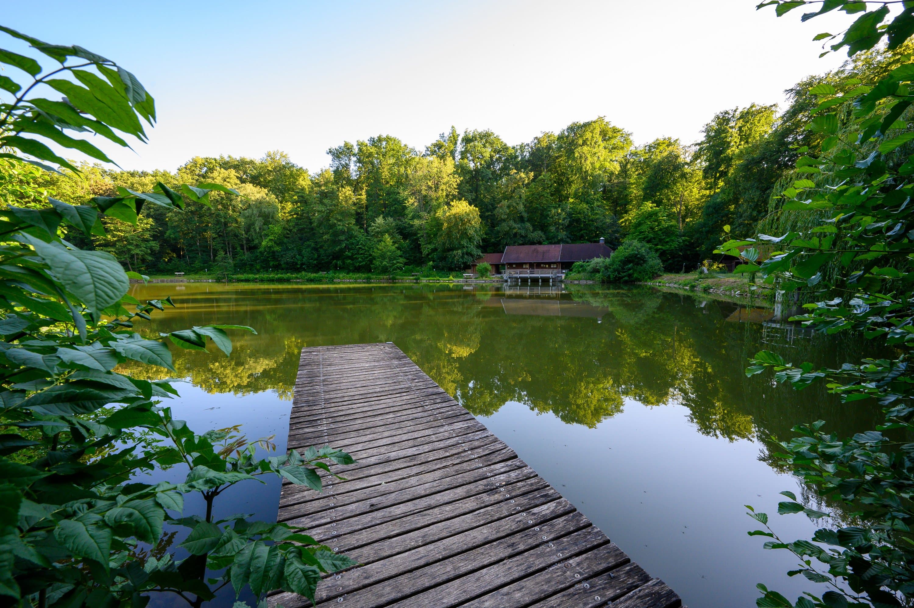 Jägersee mit Waldpfühlpfad und Grillstelle | Eppingen | HeilbronnerLand
