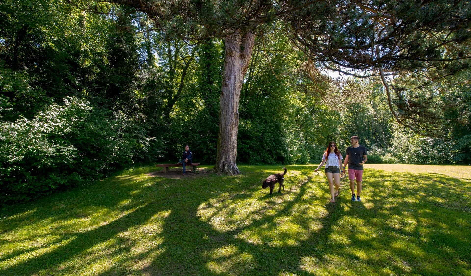 Spaziergang durch den Fürstengarten Hechingen