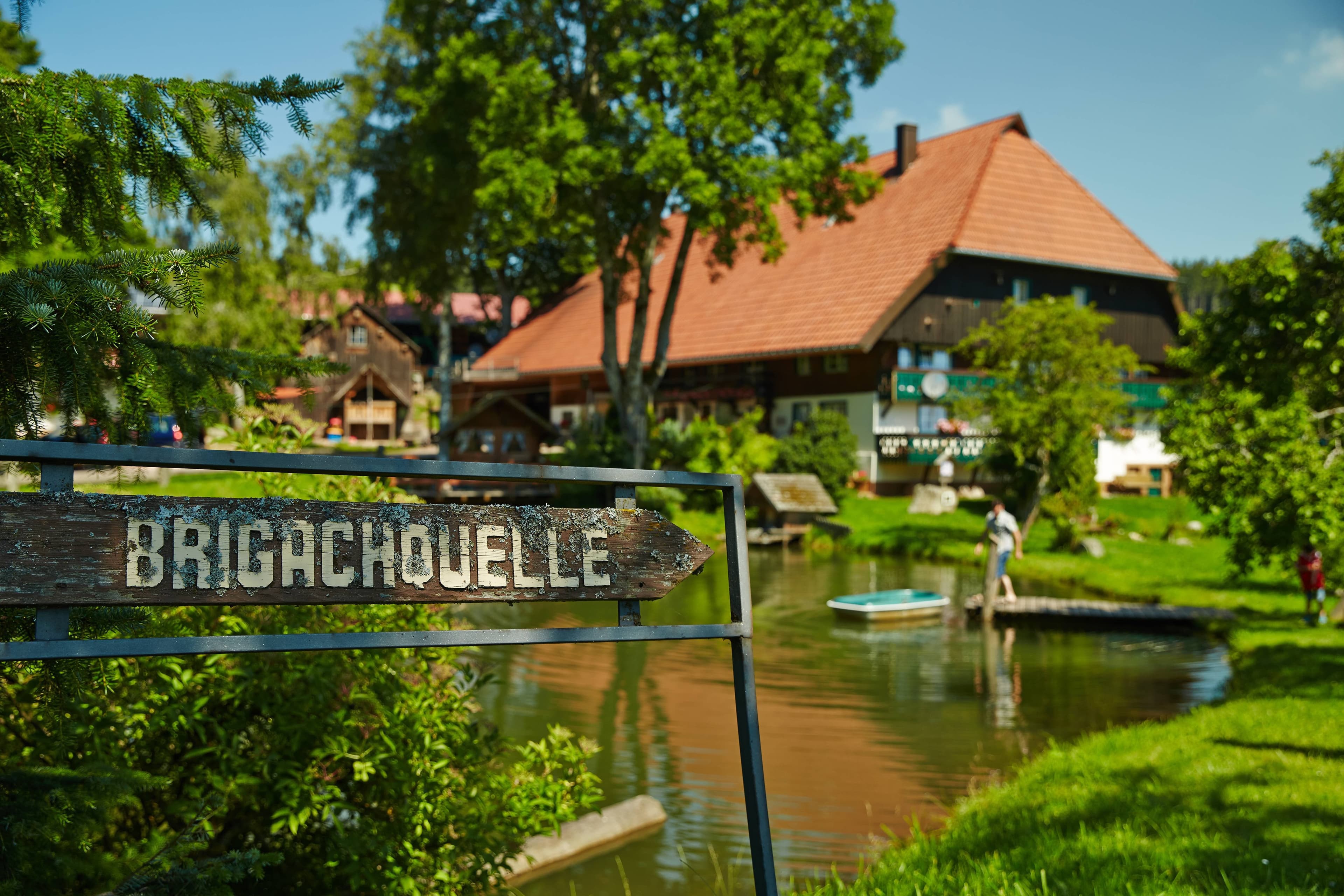 Pond in front of the Hirzbauernhof, where the Brigach springs