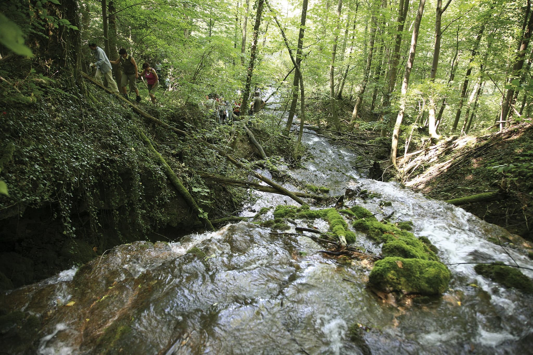 Photo credits: Municipality of Bad Ditzenbach