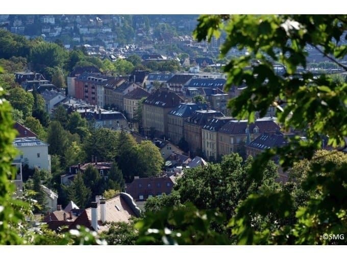 Blick auf eine Stadt mit alten Gebäuden und viel Grün, umrahmt von Bäumen.
