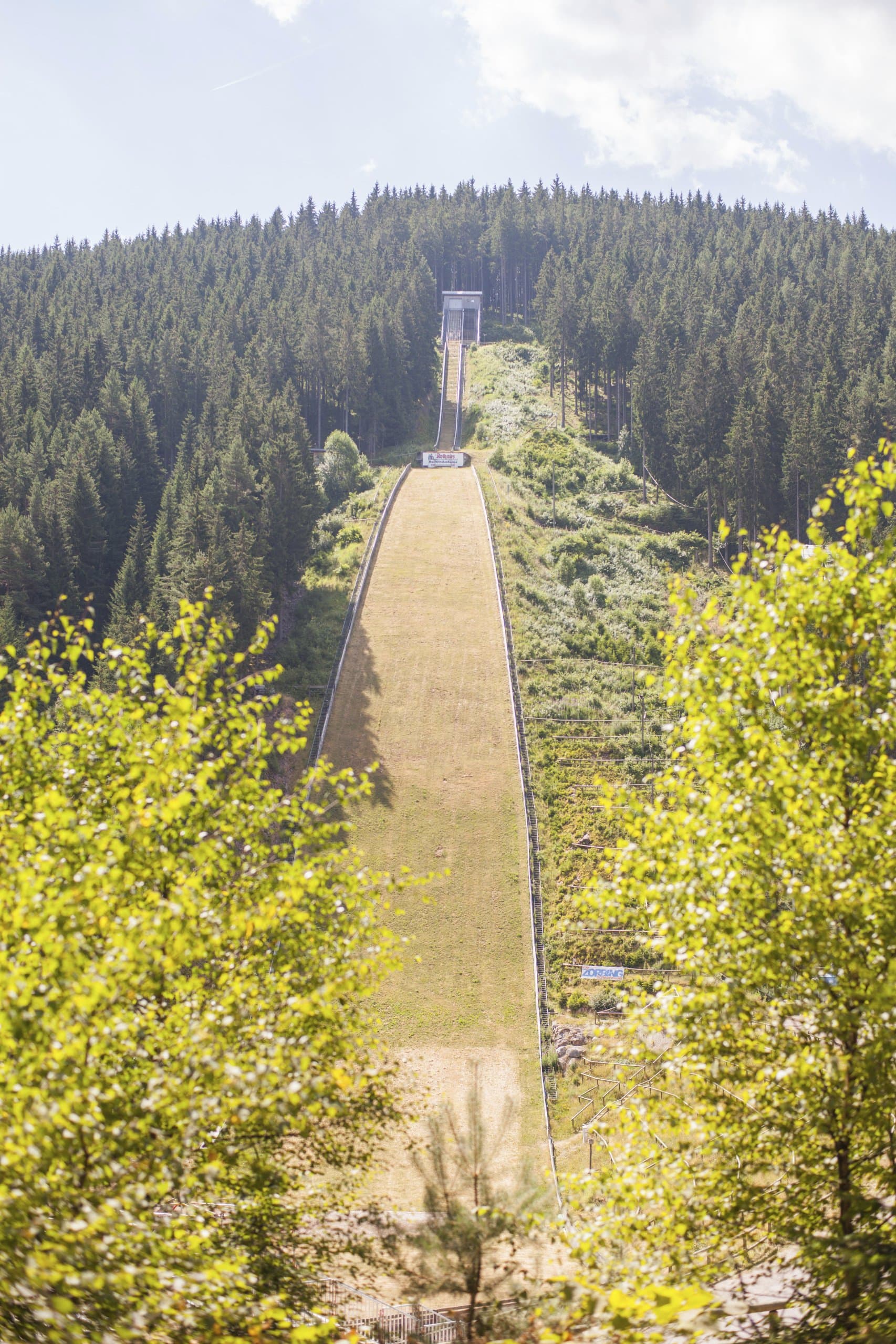 Eine große Skisprungschanze auf einem grasbewachsenen Hang, eingebettet in einen dichten Nadelwald. Die Schanze führt von einem Turm am oberen Waldrand steil nach unten.