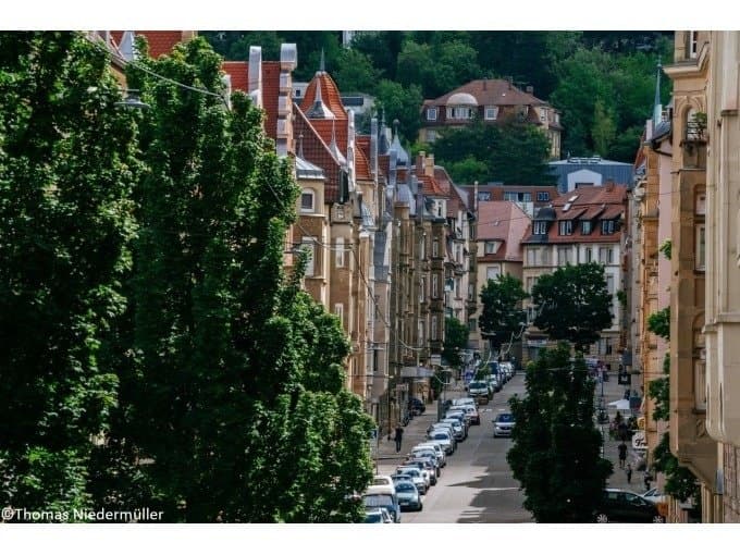 Straße in Stuttgart mit Bäumen und Autos, umgeben von historischen Gebäuden.
