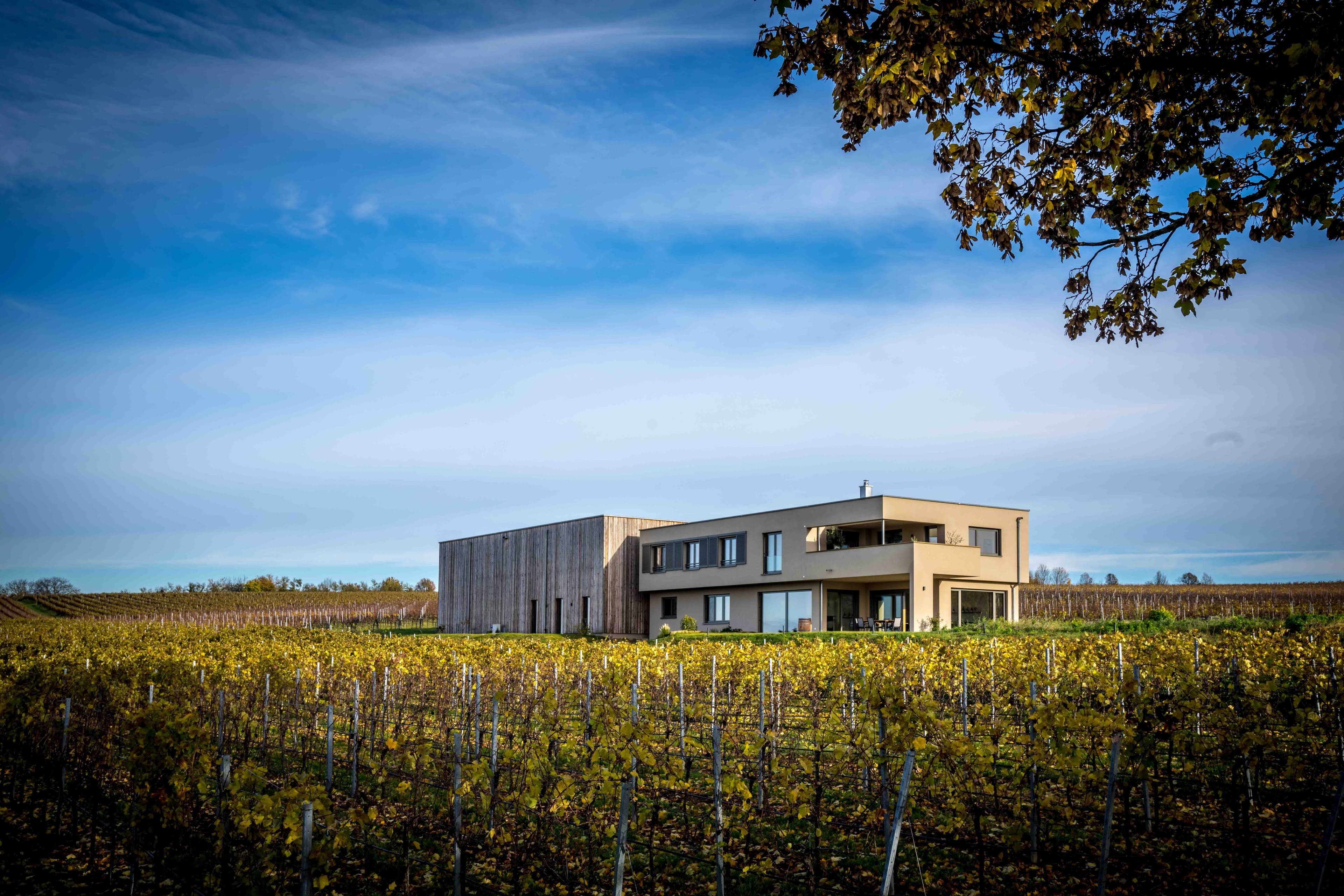 Weingut | Wein und Sektgut Hirschmüller | Lauffen