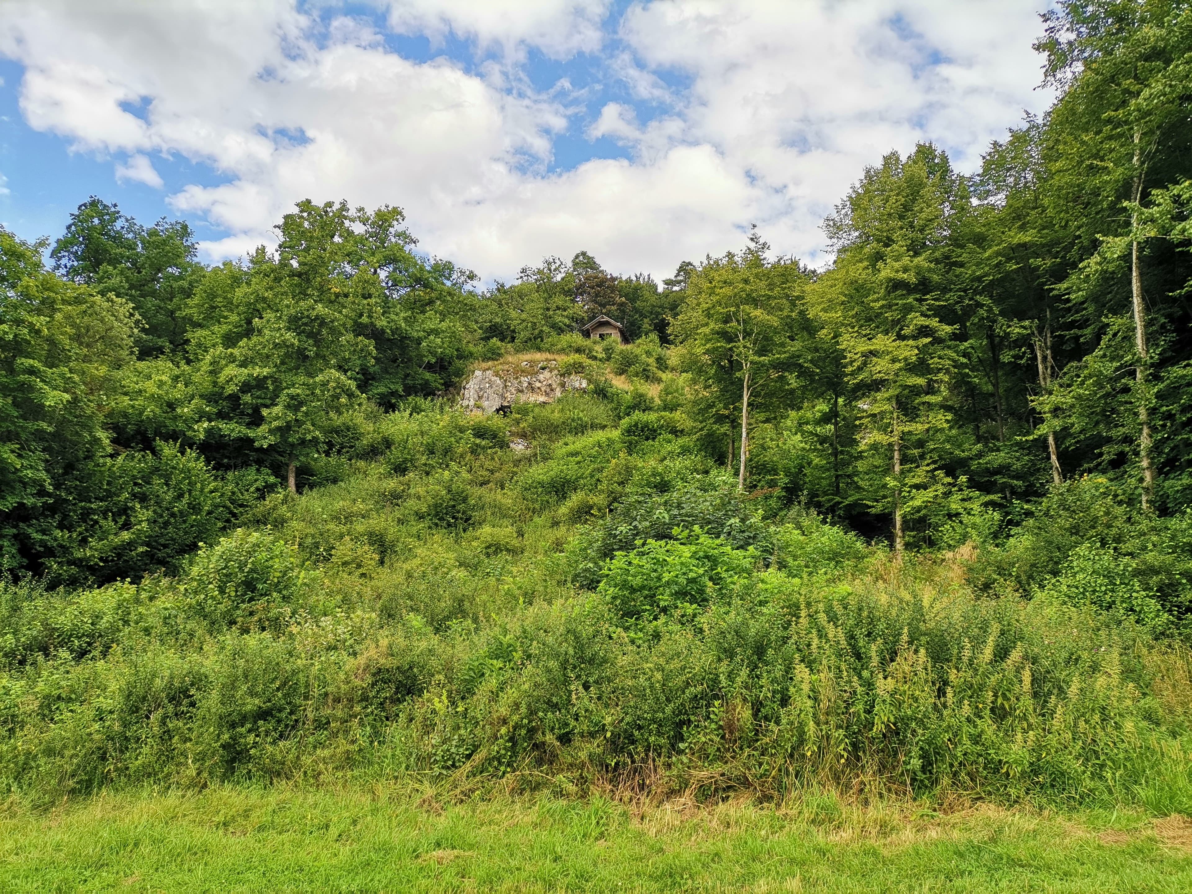 Hang mit dichter Vegetation. Aus dem Pflanzenwuchs taucht ein Felsen hervor, der Bockstein. Ganz oben steht ein kleines Holzhäuschen auf dem Hügel