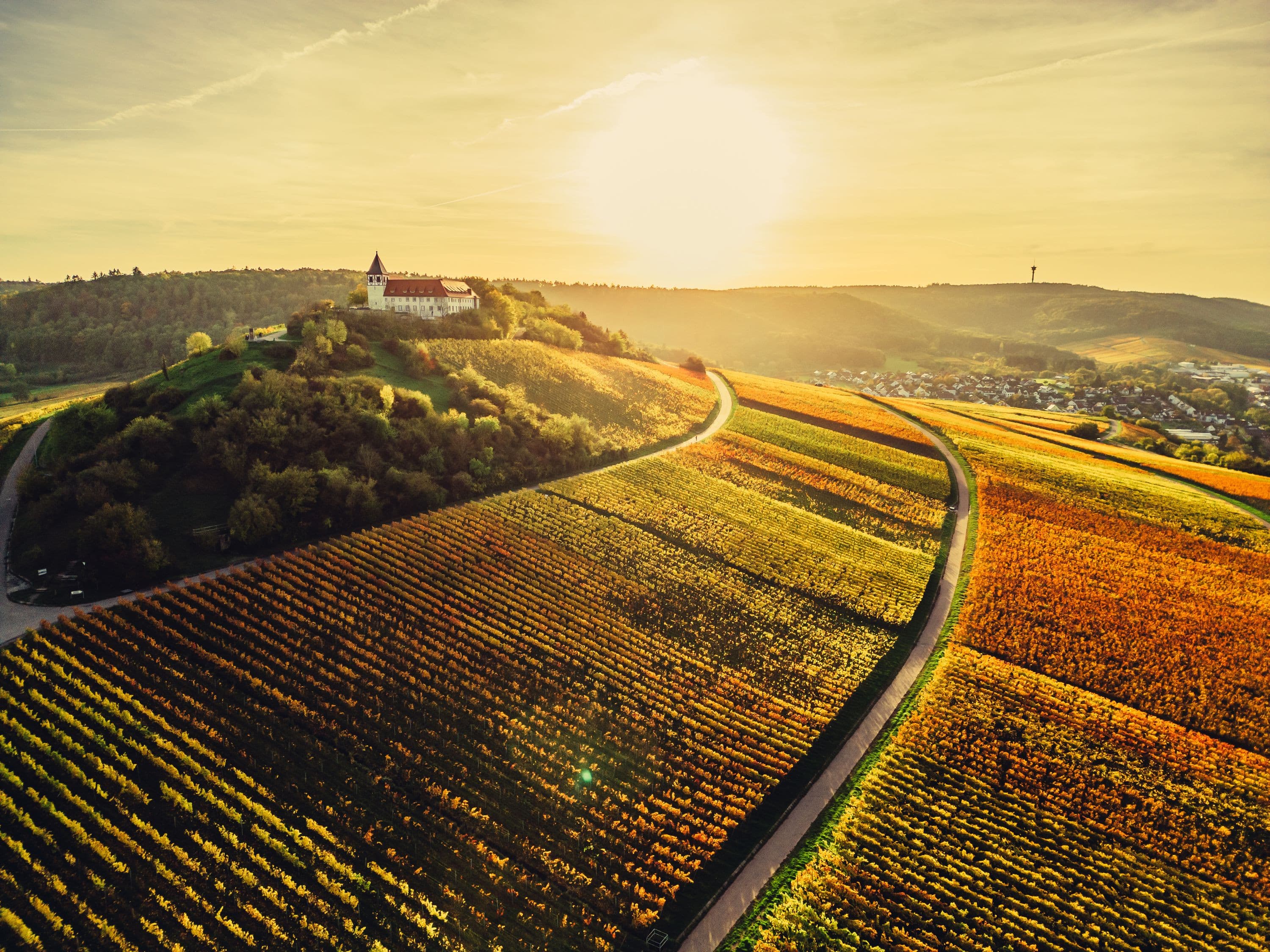 Herbstlandschaft am Michaelsberg Cleebronn | Schönste Weinsicht Württemberg | HeilbronnerLand