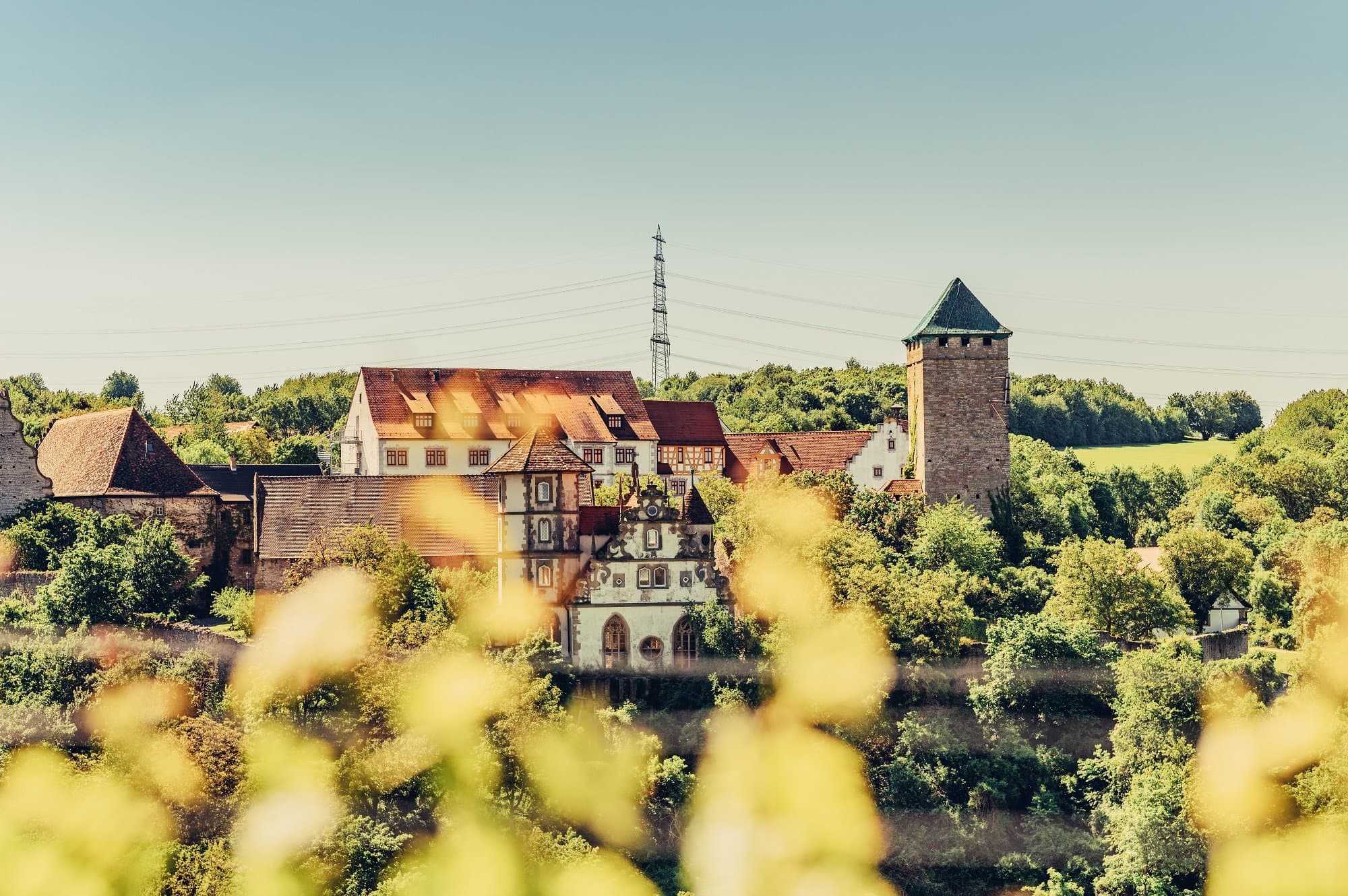Blick auf eine Schlossanlage zwischen Wald und Weinbergen