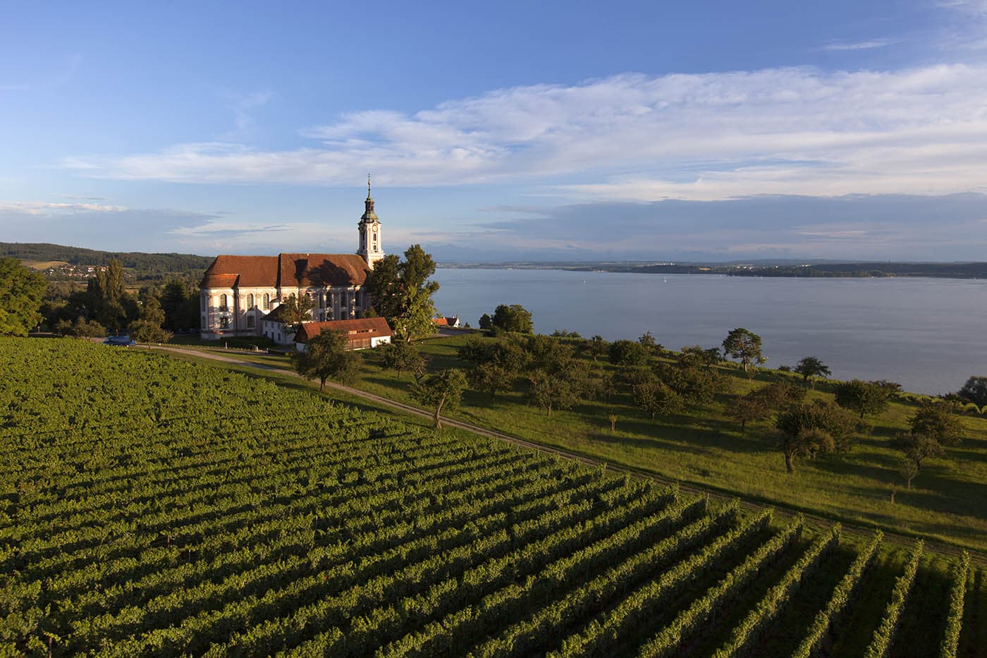 Ausblick auf die Weinreben, Basilika Birnau und den Bodensee