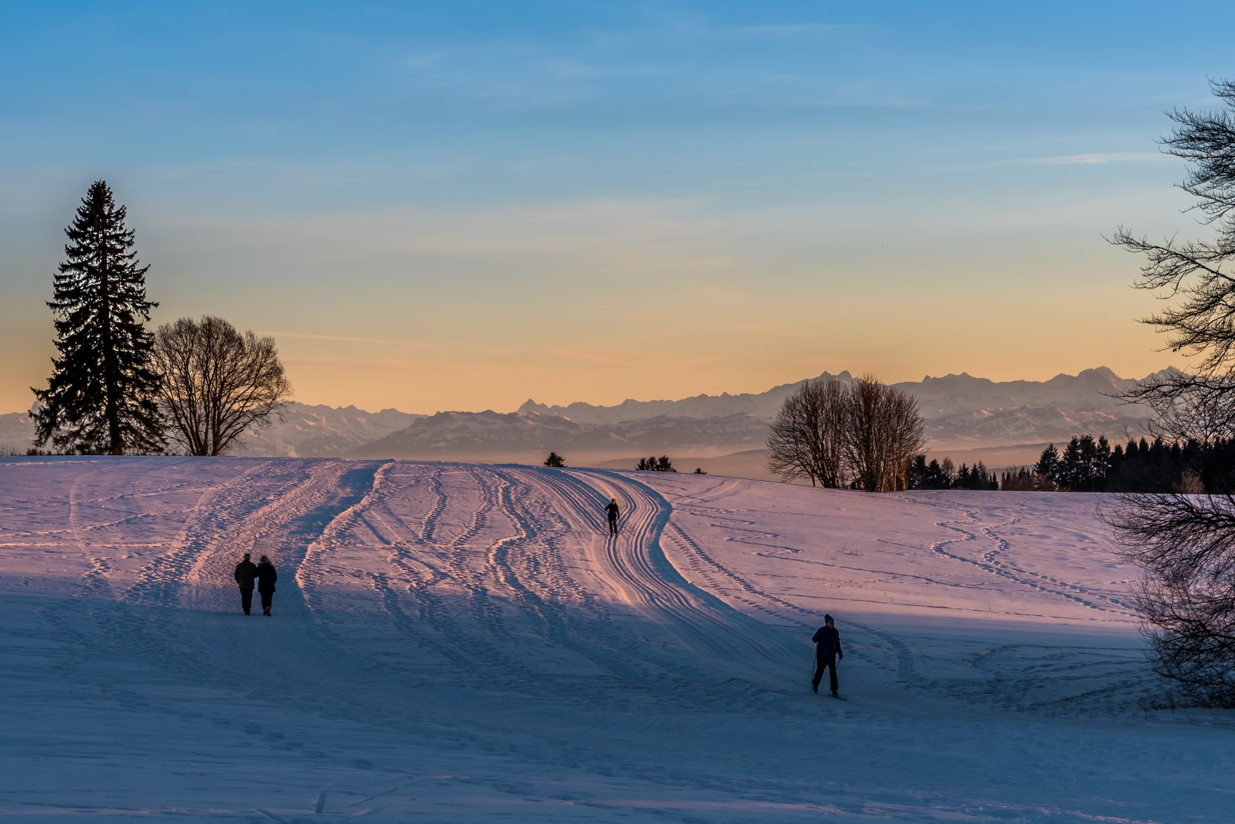 gebahnte Loipe und Winterwanderwege mit den Alpen im Hintergrund in der Abenddämmerung