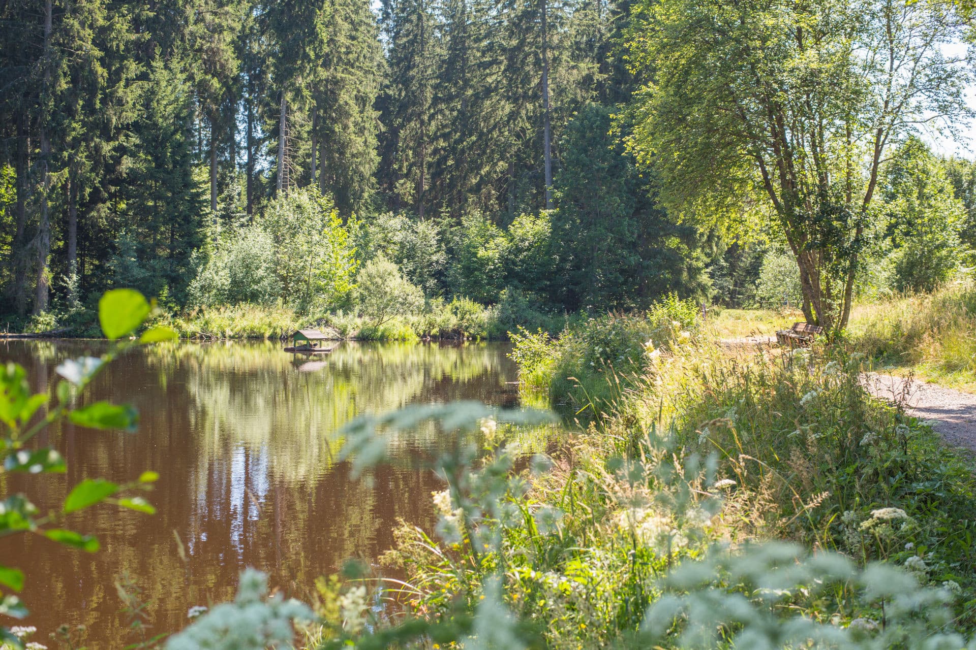 Schwellenweiher Falkau