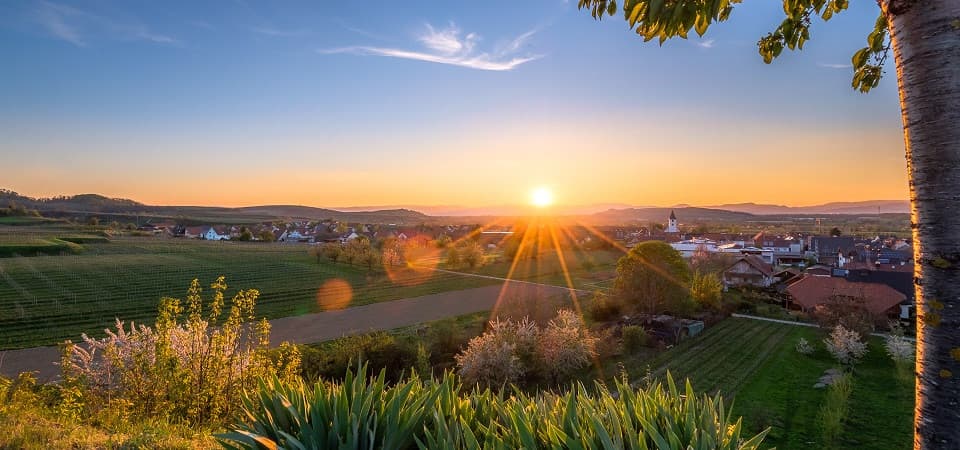 blick auf Endingen mit Sonnenuntergang