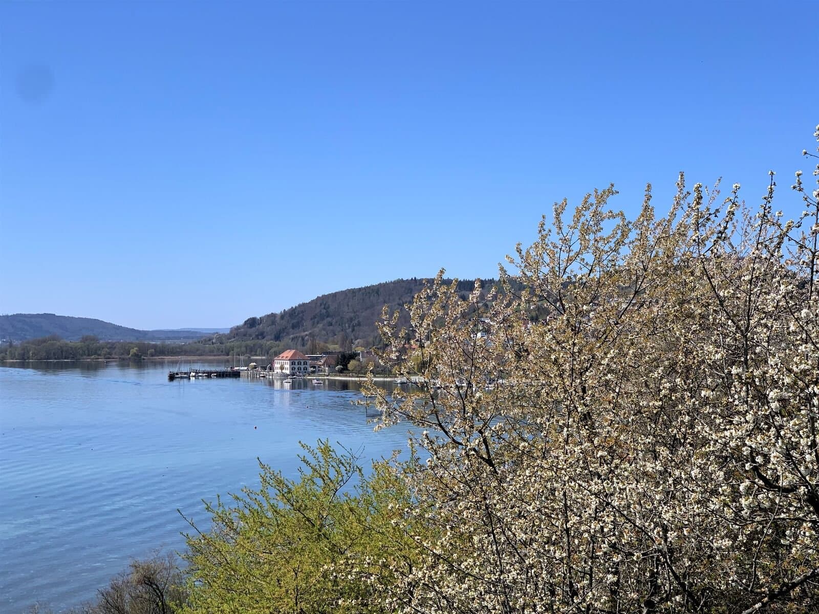 Blick auf das Zollhaus Ludwigshafen
