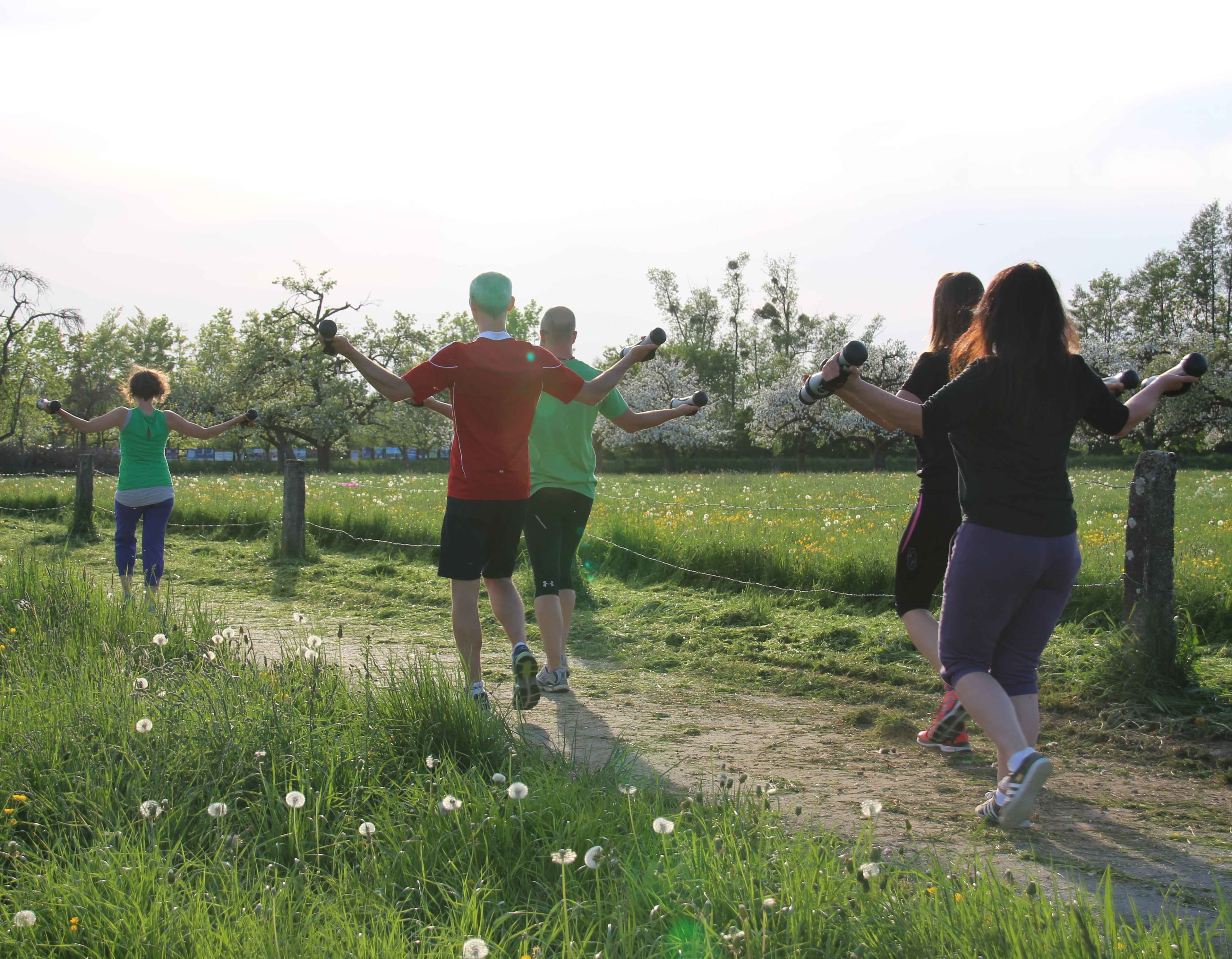 Reaktiv Walking Apfelbluete Apfelweg Abendsonne Pusteblume WirthshofAKTIV Parcours