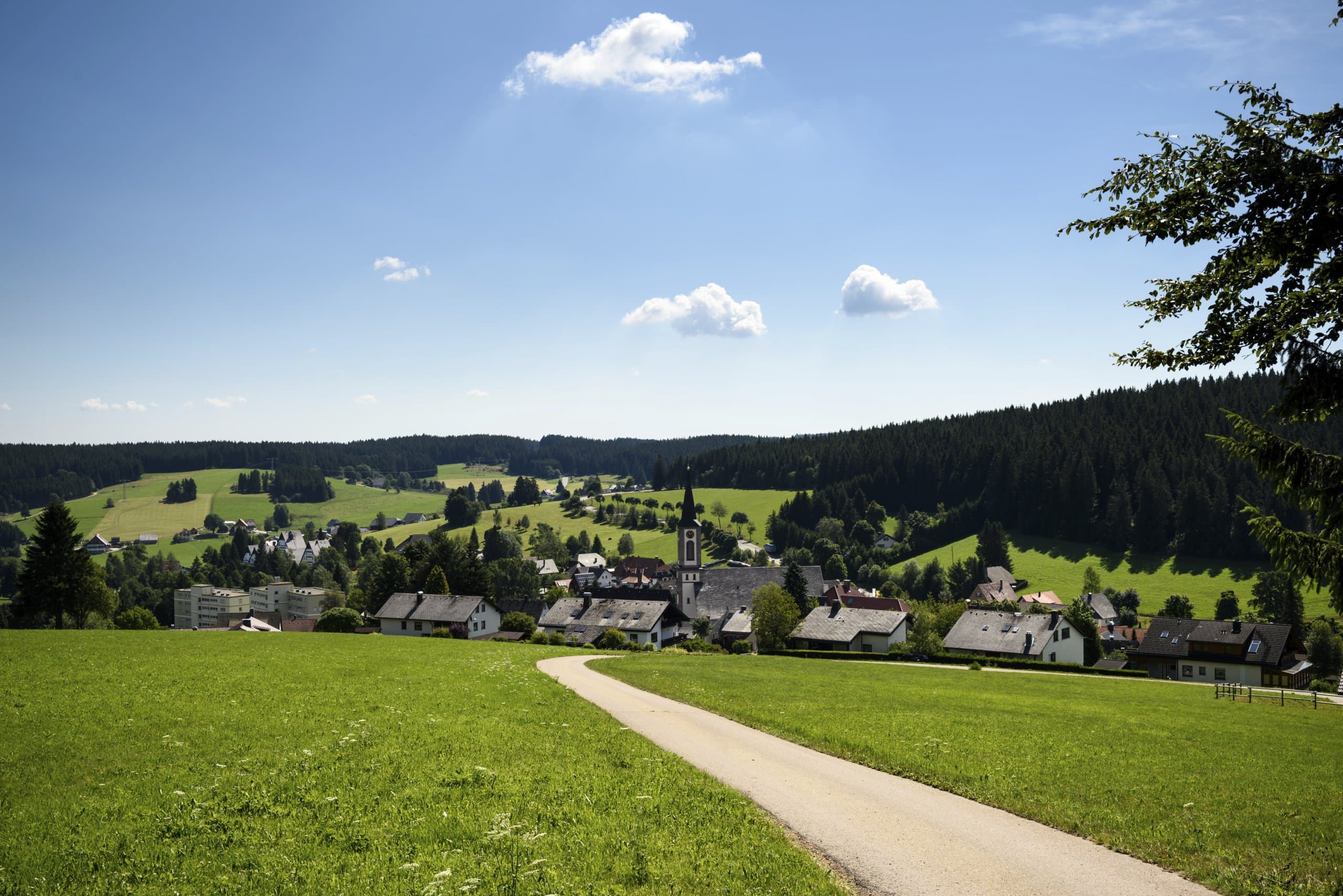 Ausblick auf Schönwald