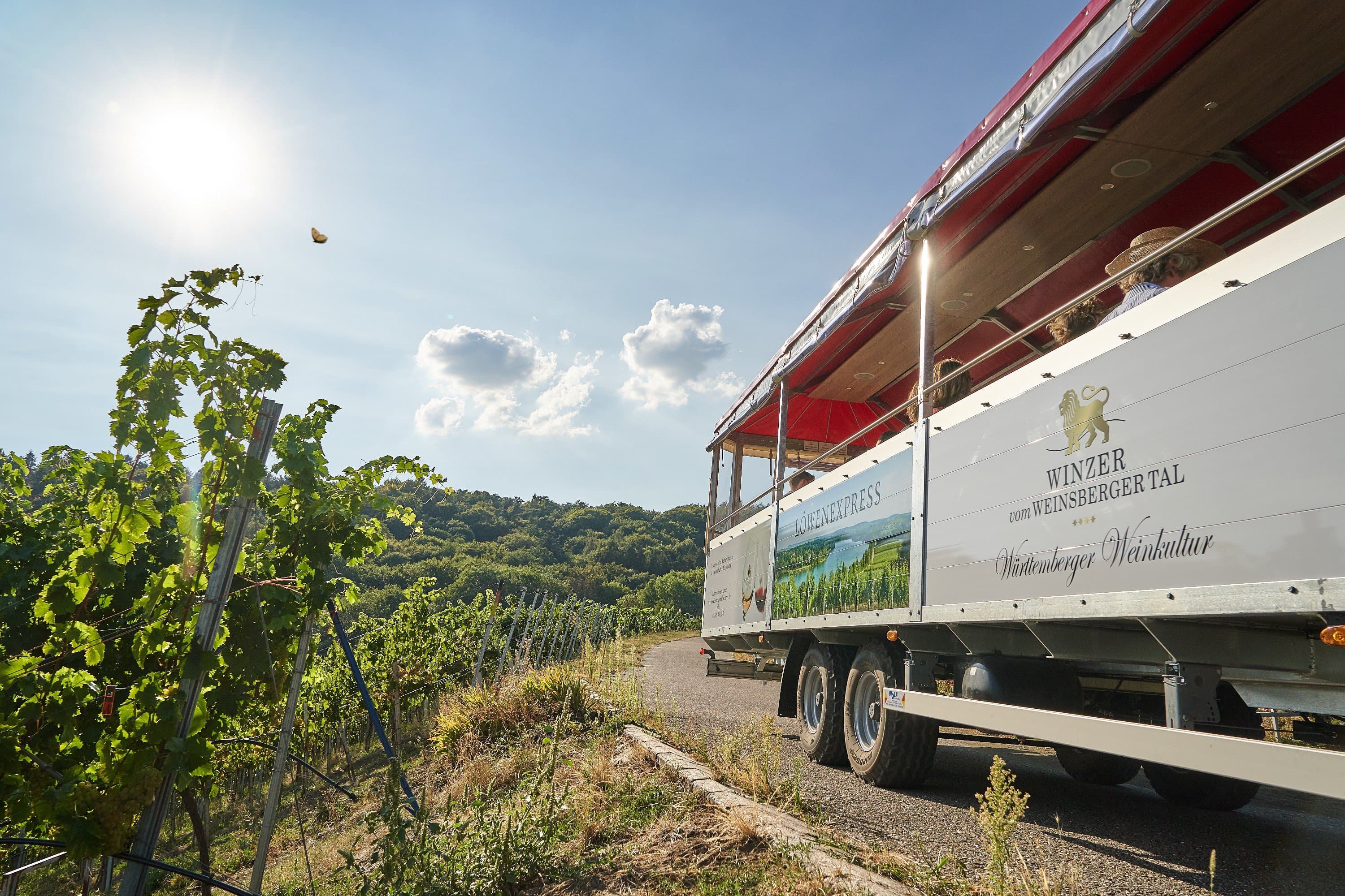 Löwen-Express | Planwagen- und Weinbergrundfahrten im Weinsberger Tal