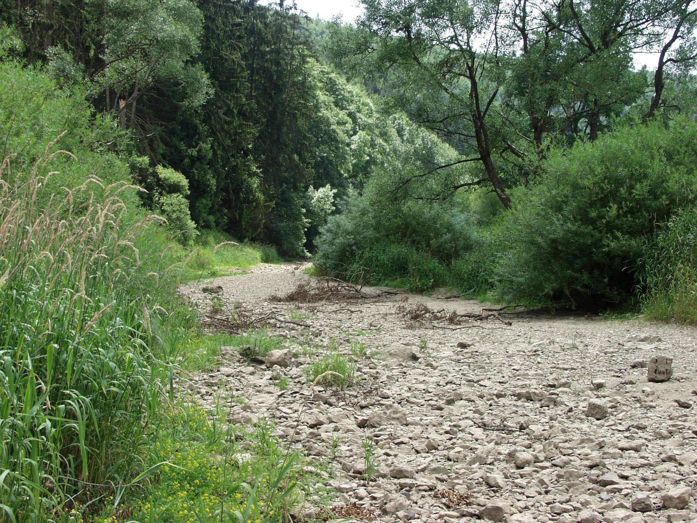 Ausgetrocknetes, steiniges Flussbett, umgeben von viel grüner Natur