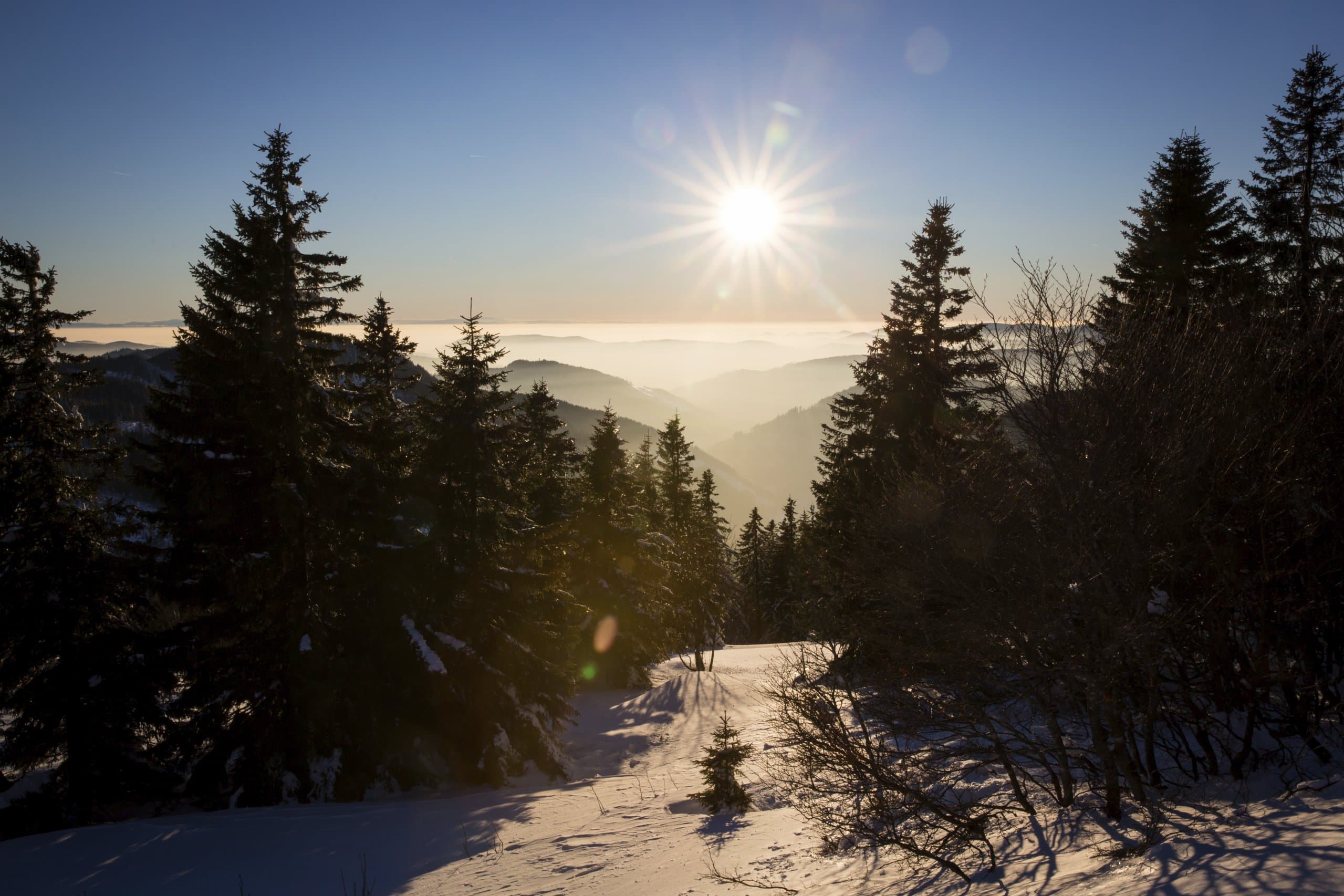 Winterlandschaft am Feldberg