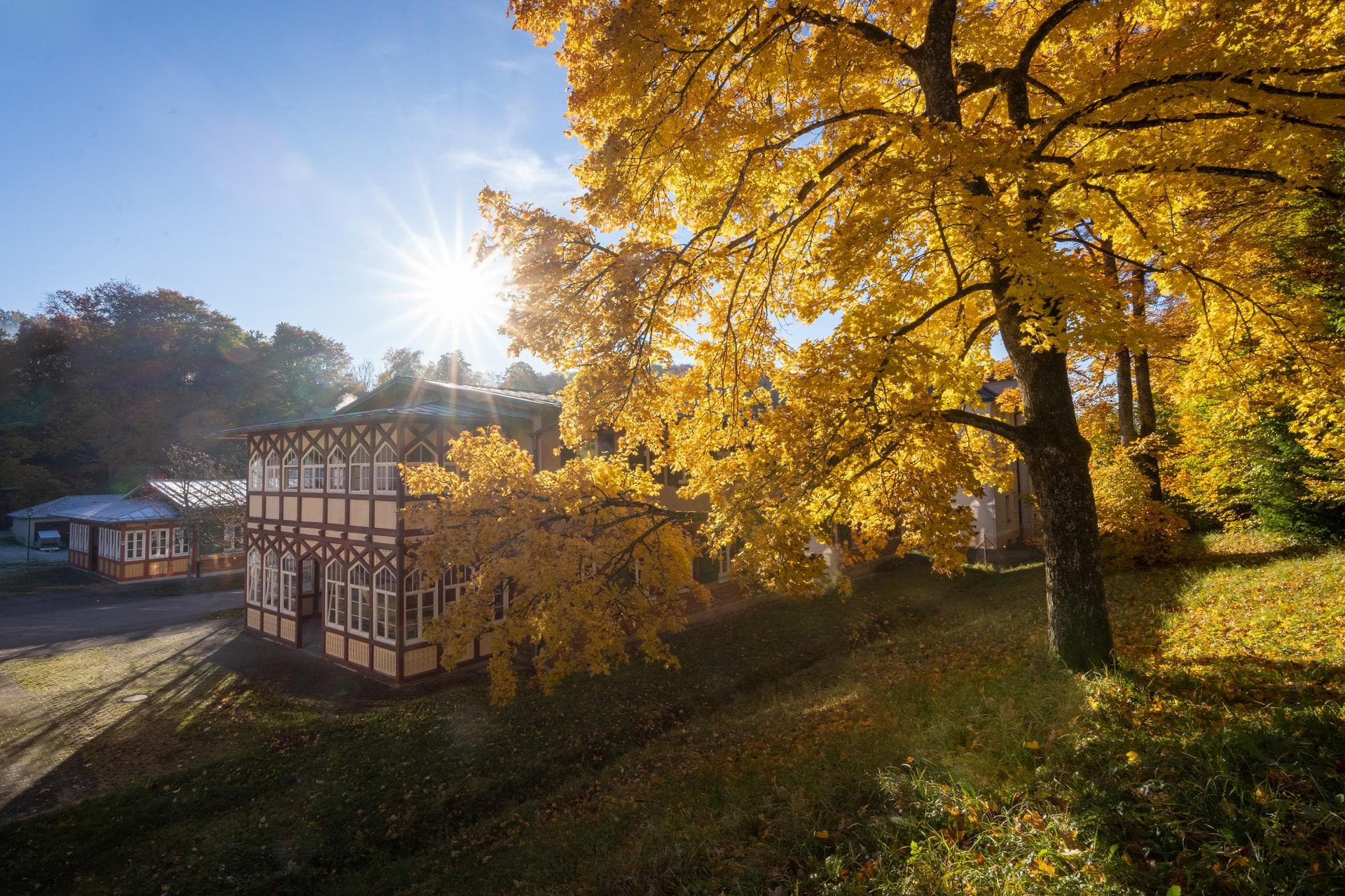 Albgut - Altes Lager am Rande des ehemaligen Truppenübungsplatz Münsingen im Biosphärengebiet Schwäbische Alb. Auf einem großen Platz stehen mehree historische Fachwerkgebäude. Rechts daneben ist Wald. Die gefärbten Blätter der Bäume strahlen in Gold.