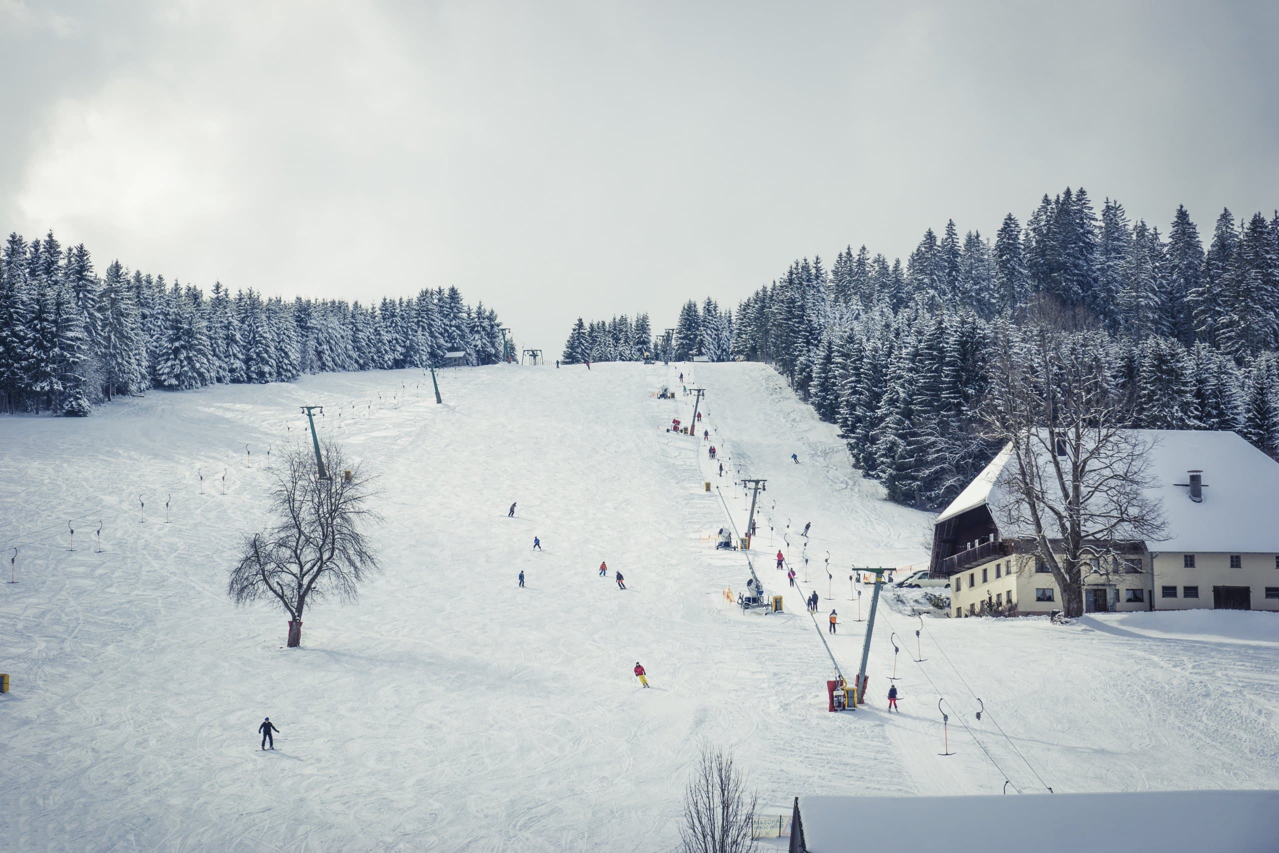 Blick auf eine schneebedeckte Skipiste mit zahlreichen Skifahrerinnen und Skifahrern, die zwischen einem Schlepplift und einem traditionellen Schwarzwaldhaus von verschneiten Tannen eingerahmt wird.