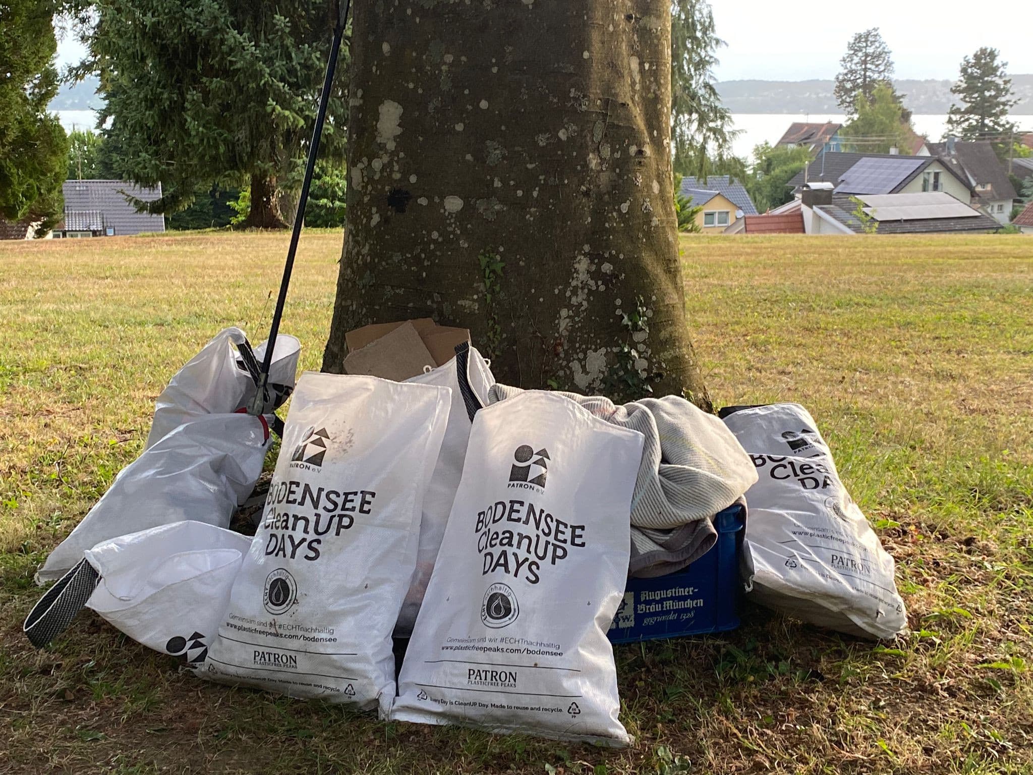 Der gesammelte Müll liegt in den CleanUP Bags vor einem Baumstamm.