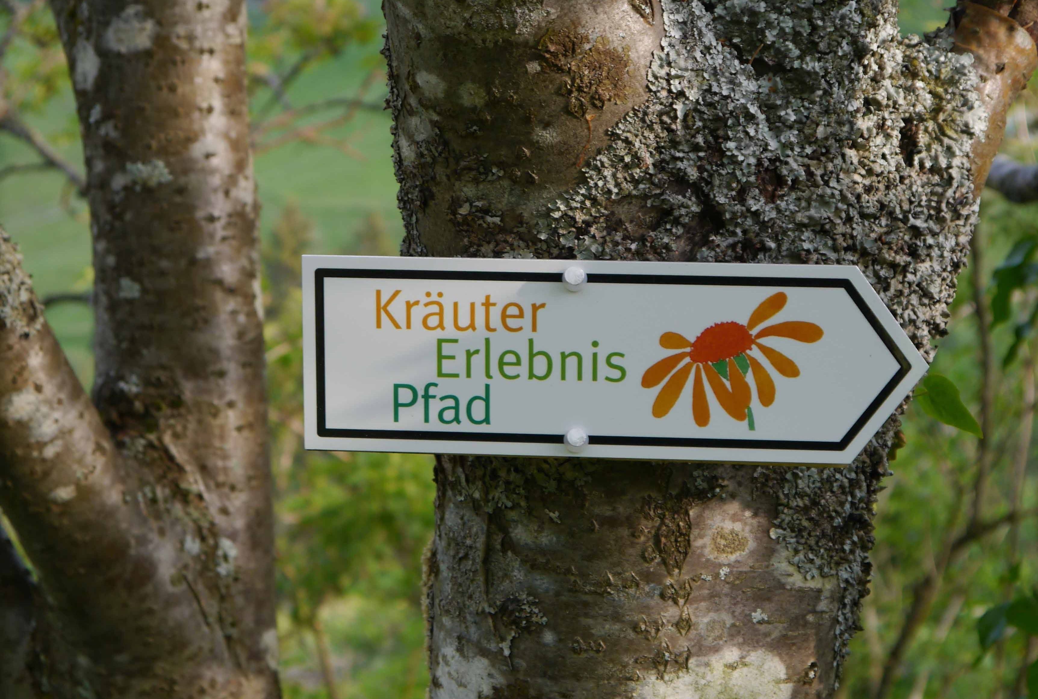 Schild zum Kräuter-Erlebnispfad in Oberried-Hofsgrund