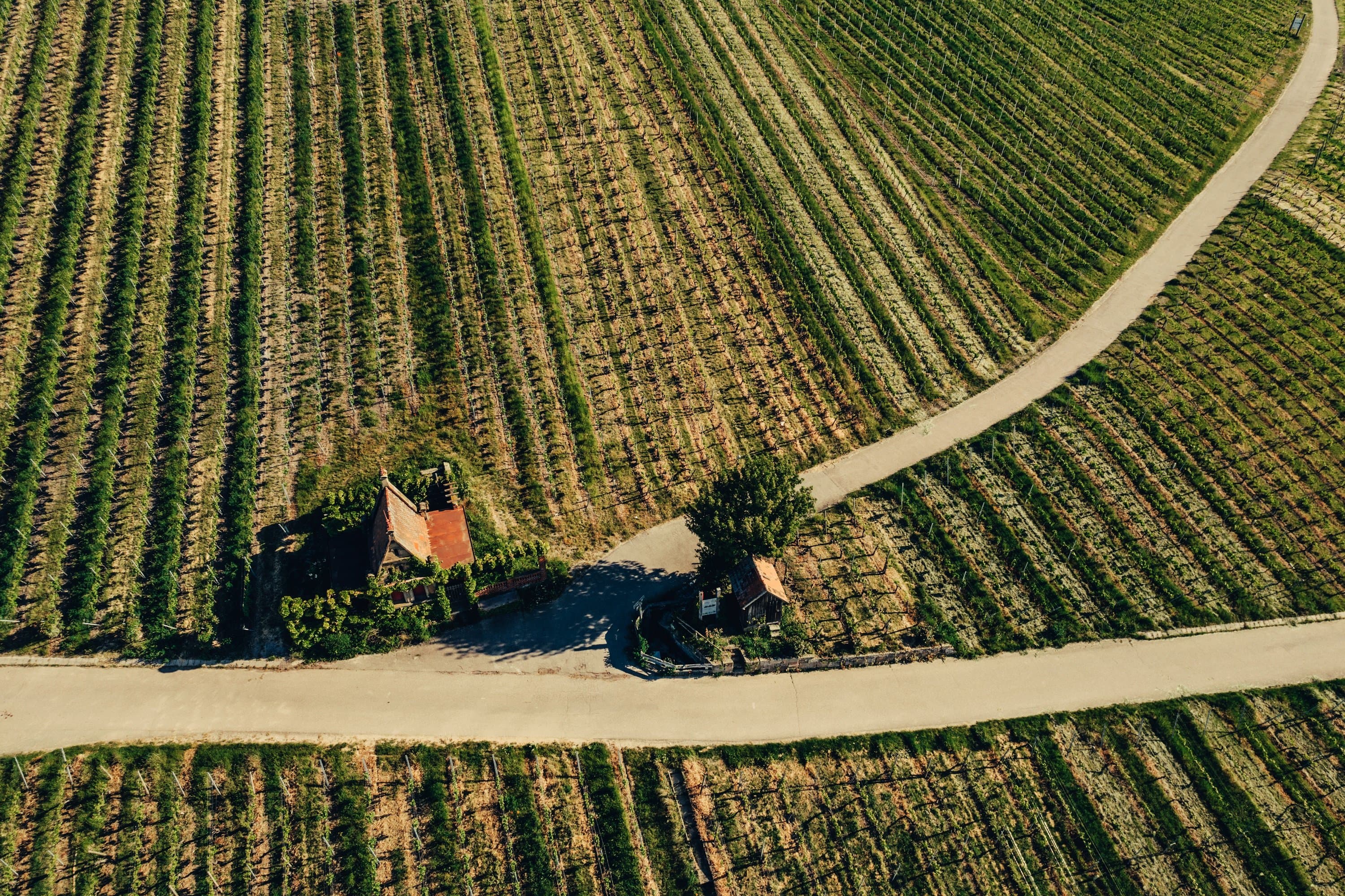 Heilbronner Wartberg | Weinregion Heilbronn & HeilbronnerLand