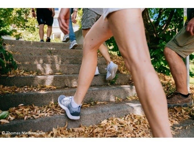 Menschen gehen eine mit Laub bedeckte Steintreppe hinauf.