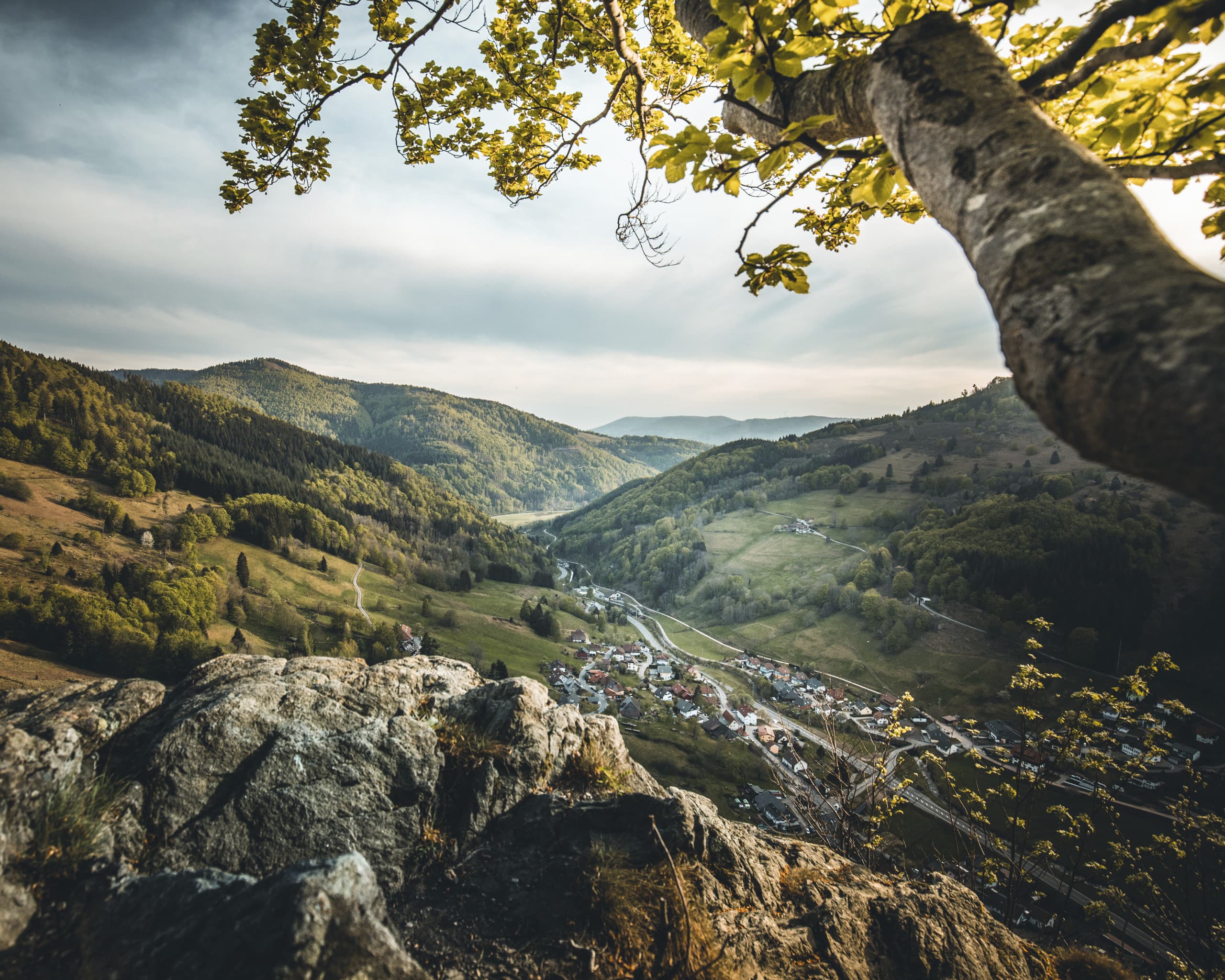 Blick vom Zauberweg auf Schlechtnau