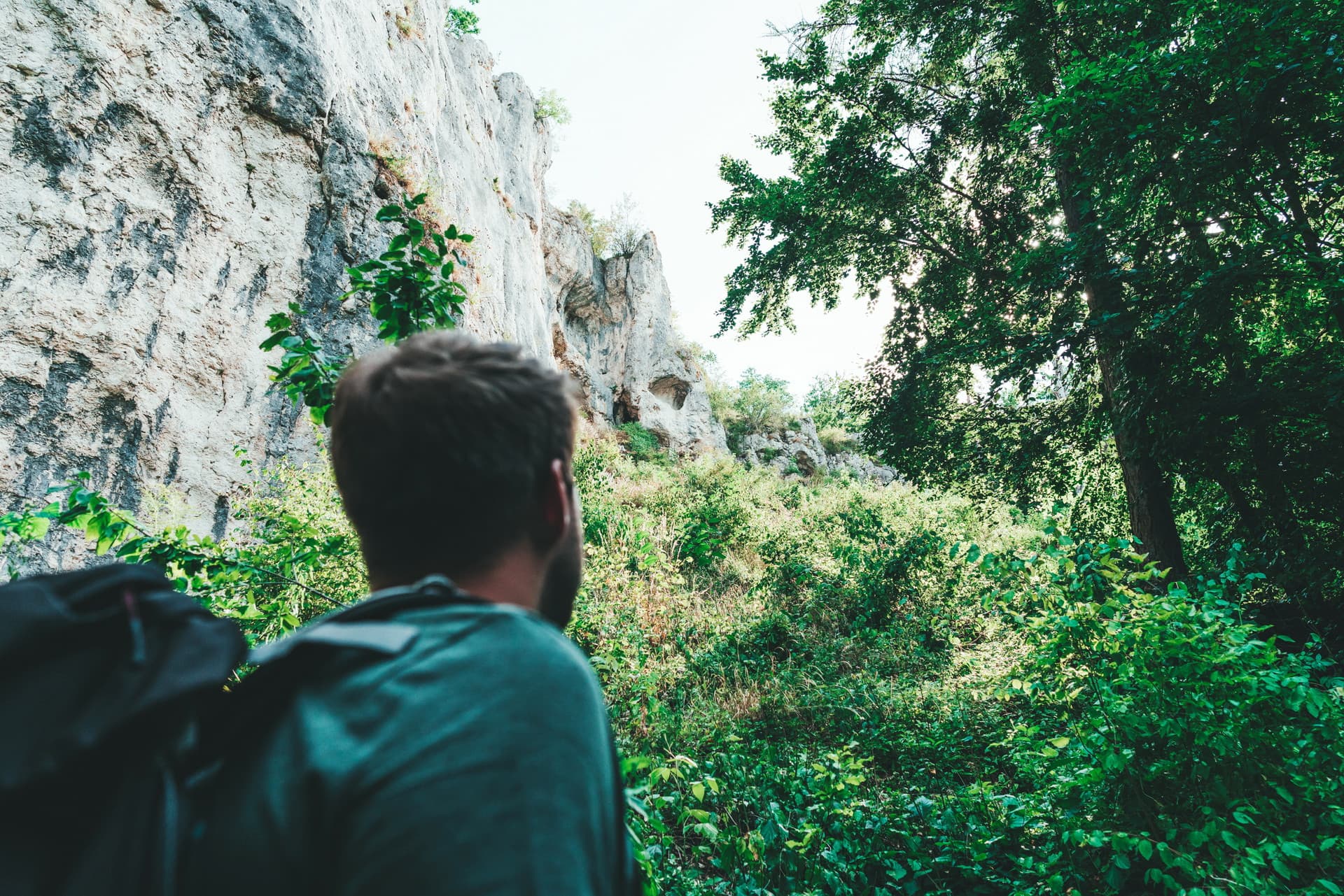 Wanderer blickt auf Felsen Sträucher und Bäume.