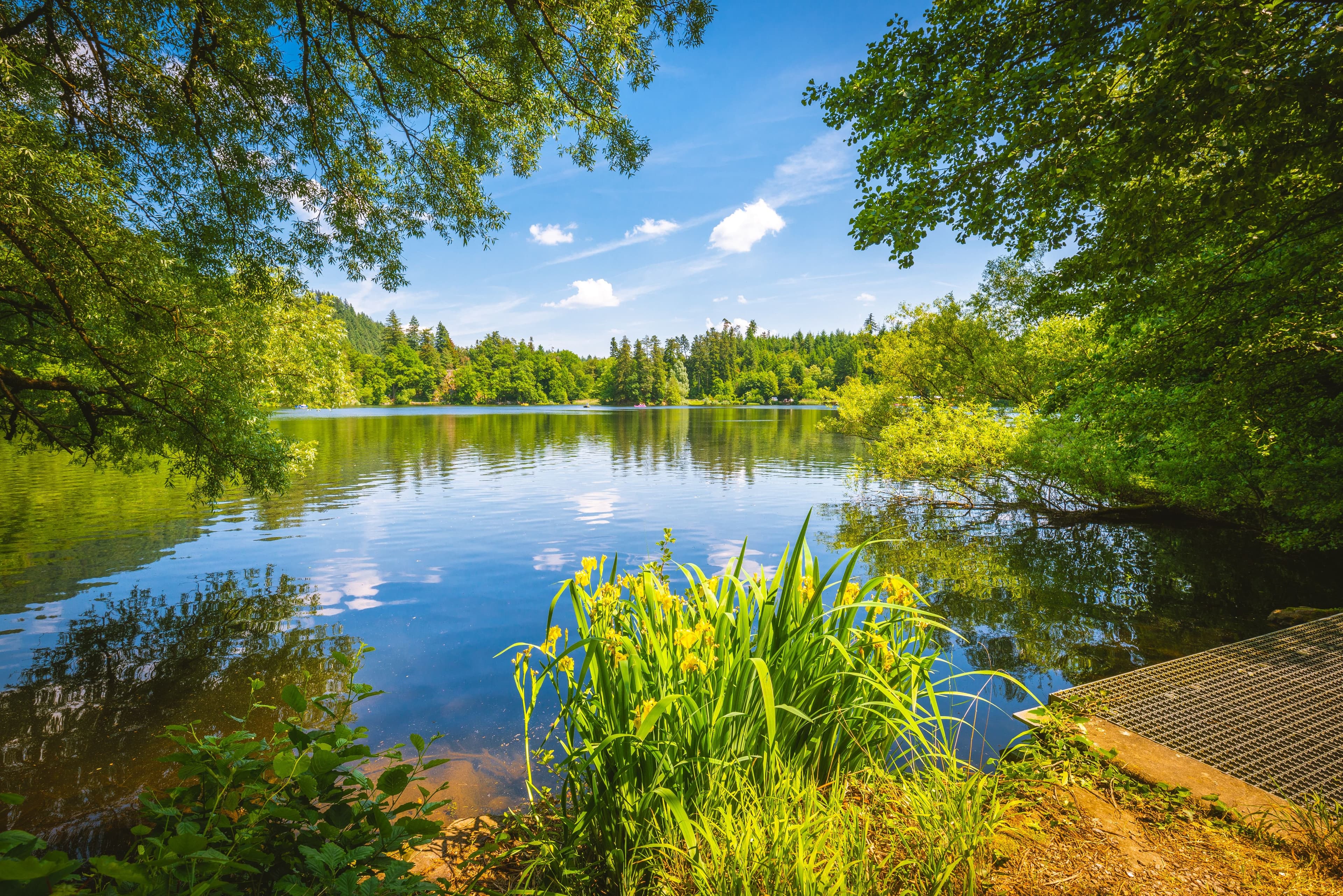 Bergsee