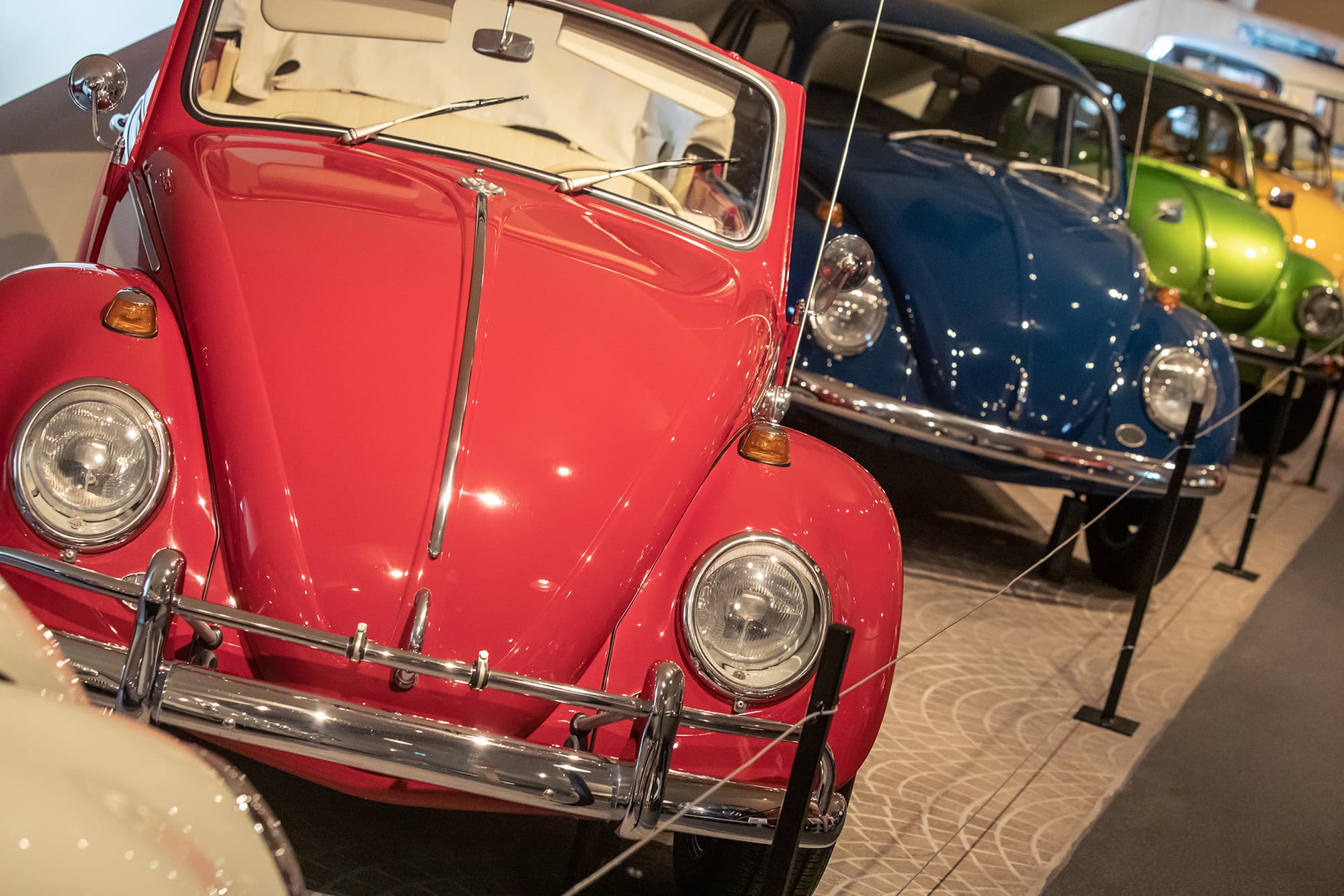 Das Kultauto, der VW Käfer. Verschiedene VW Käfer im Auto & Traktor Museum. Im Vordergrund ein roter 1200 Cabrio, dahinter ein dunkelblauer VW Käfer, Typ 1200 und im Hintergrund ein grüner Käfer, Typ 1303.
