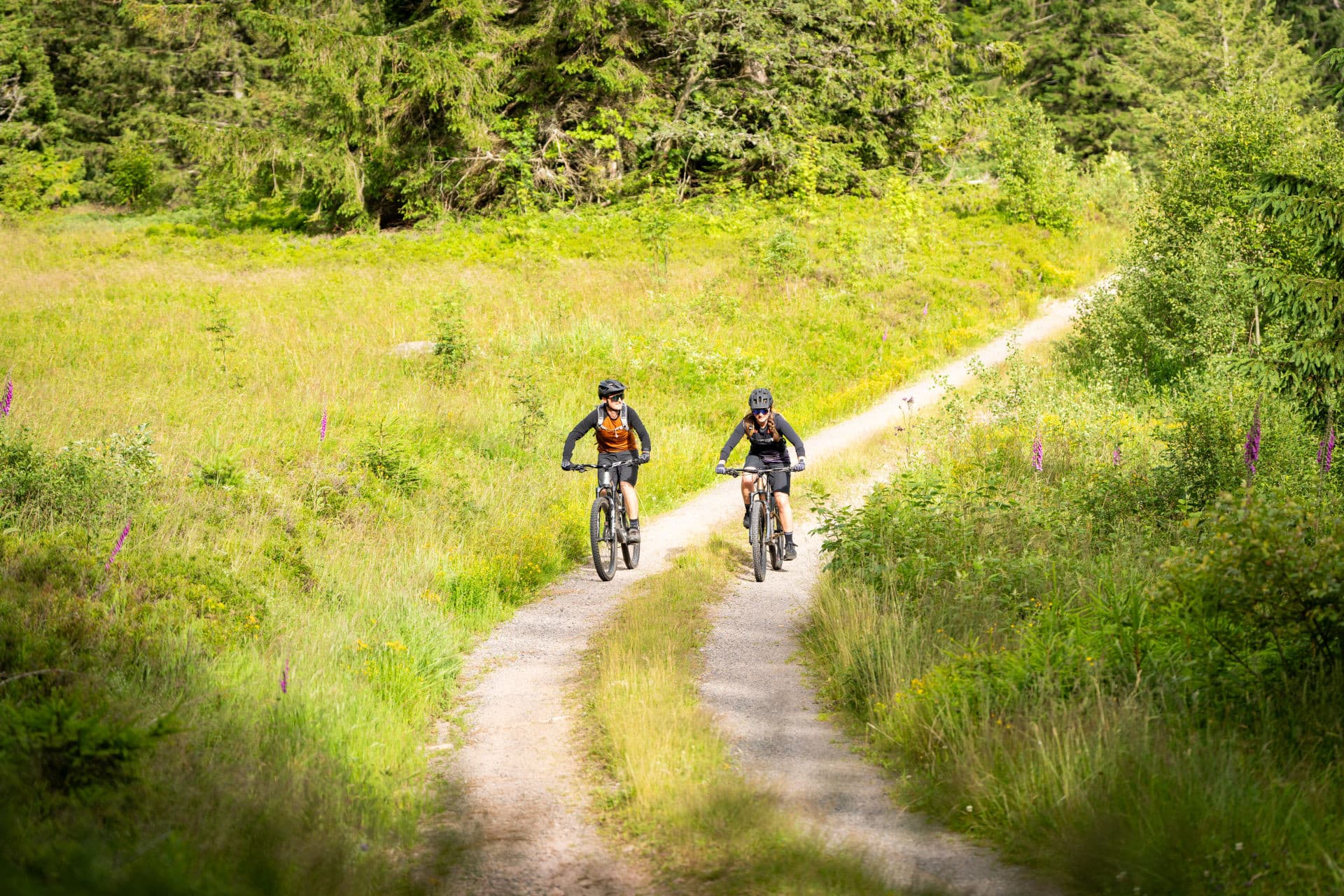 Zwei Mountainbiker auf einem Feldweg