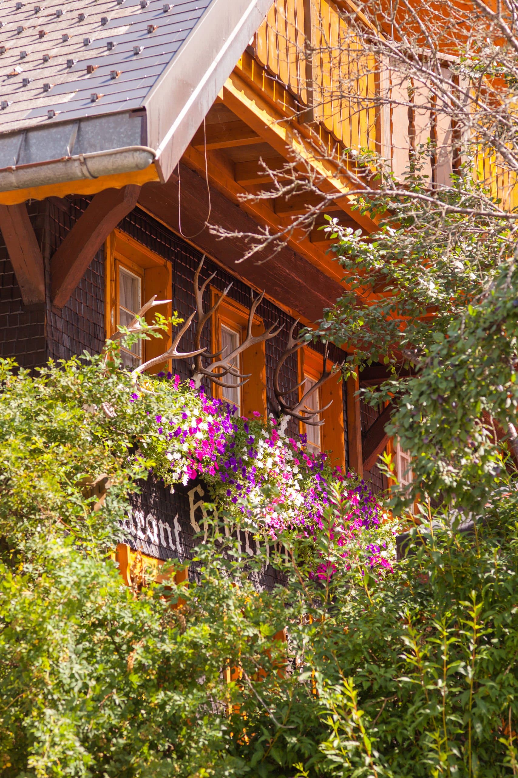 Außenaufnahme des Hotels