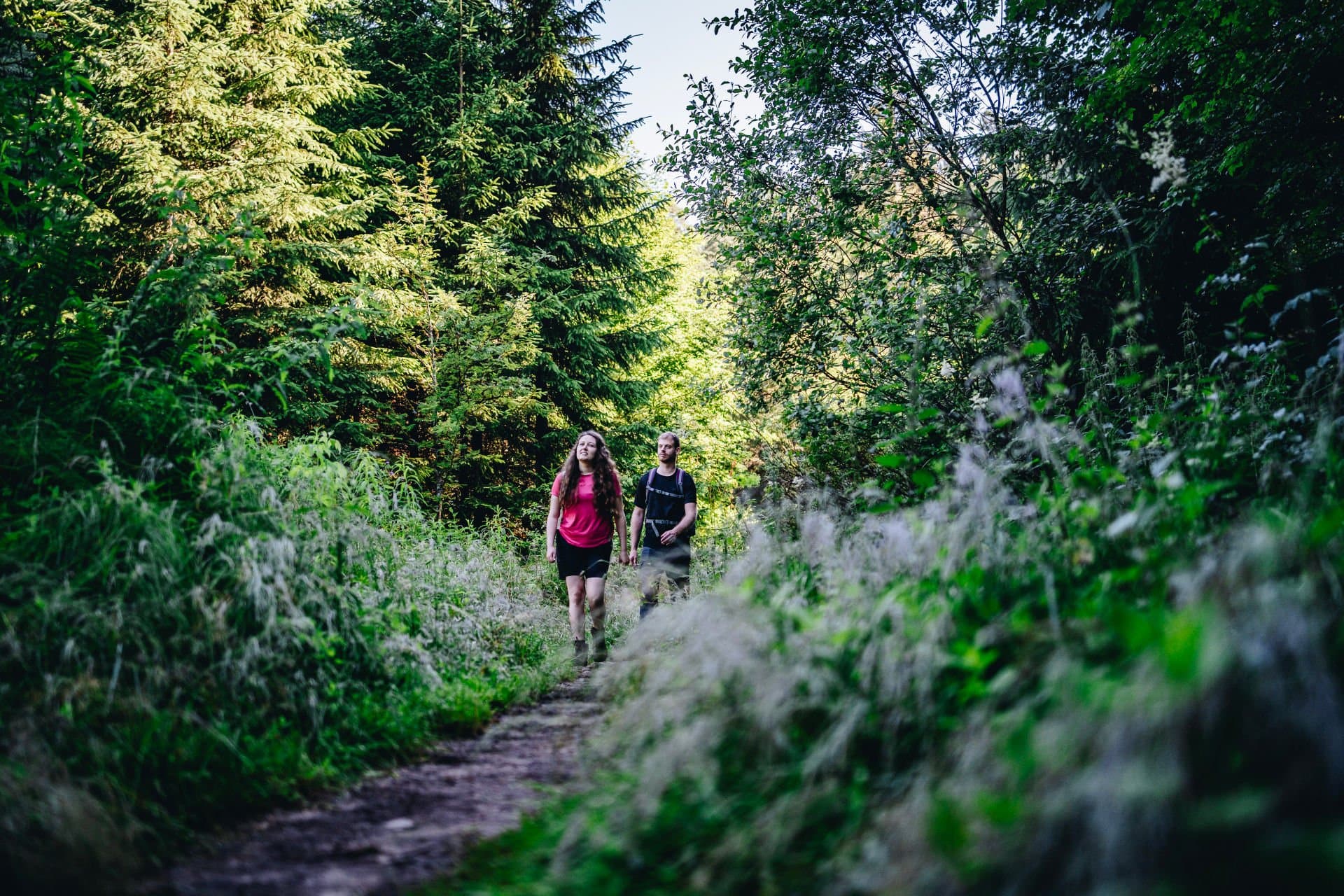 Eine Frau mit pinkem Oberteil und ein Mann mit schwarzem Oberteil wandern auf einem schmalen Pfad im Wald. Beide haben einen Wanderrucksack an. Am Rand des Pfades sind viele, beinhohe Pflanzen und dahinter stehen Bäume.