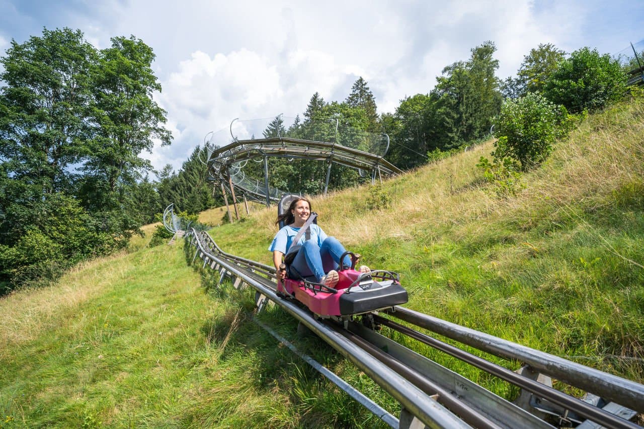 Hasenhorn Coaster
