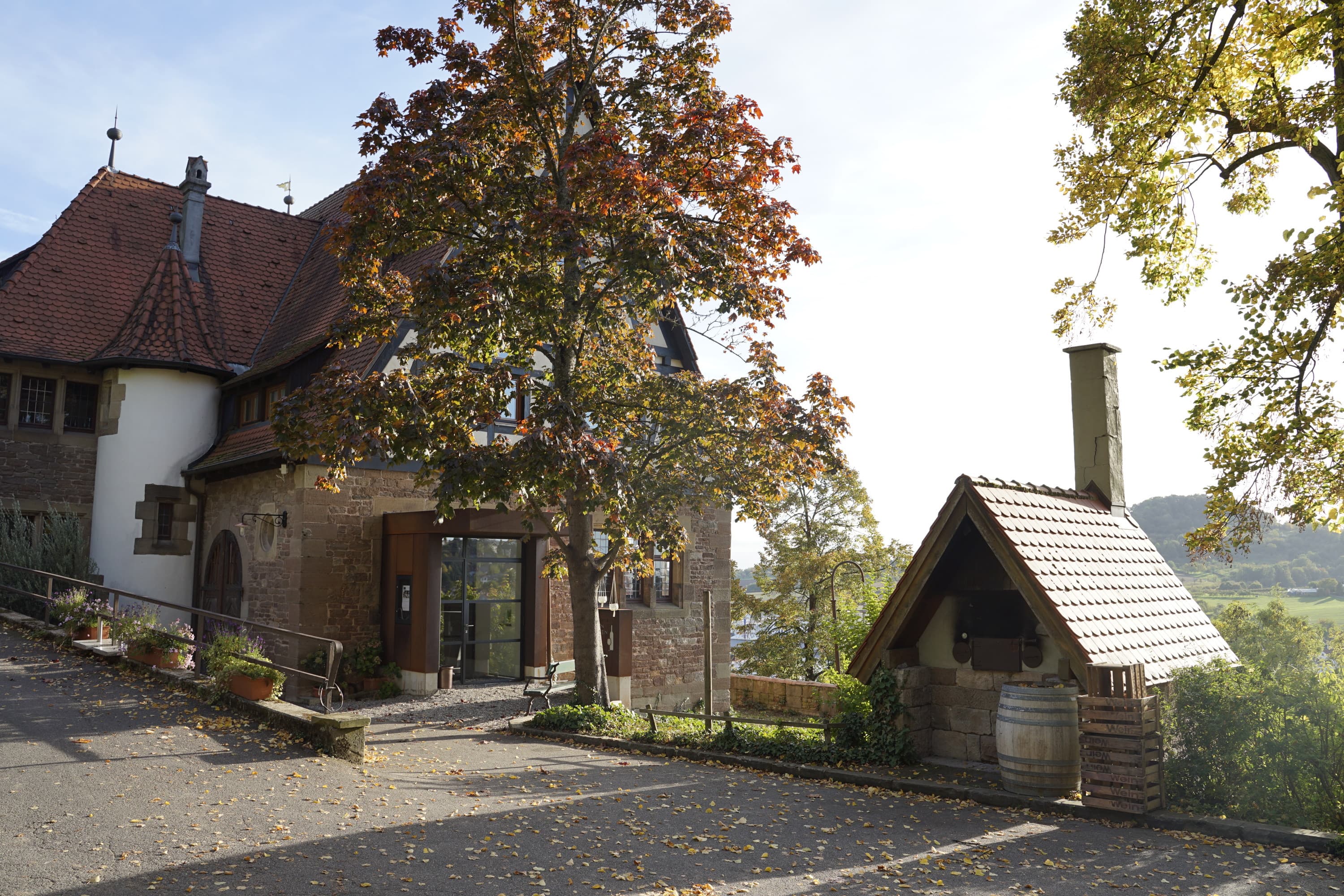 Bio-Weingut Schlossgut Hohenbeilstein | Beilstein | HeilbronnerLand