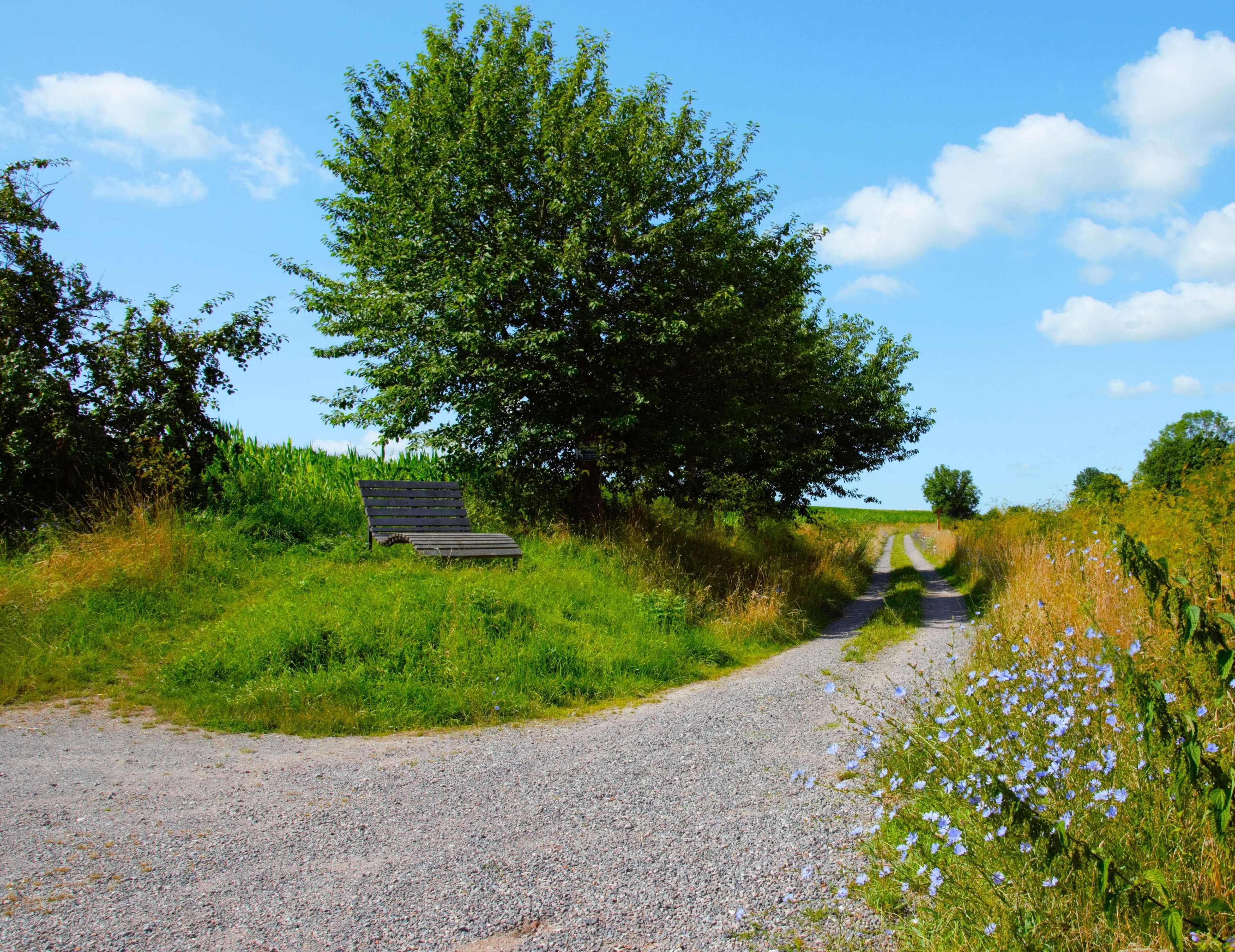 Biodiversitätspfad | Neudenau | HeilbronnerLand