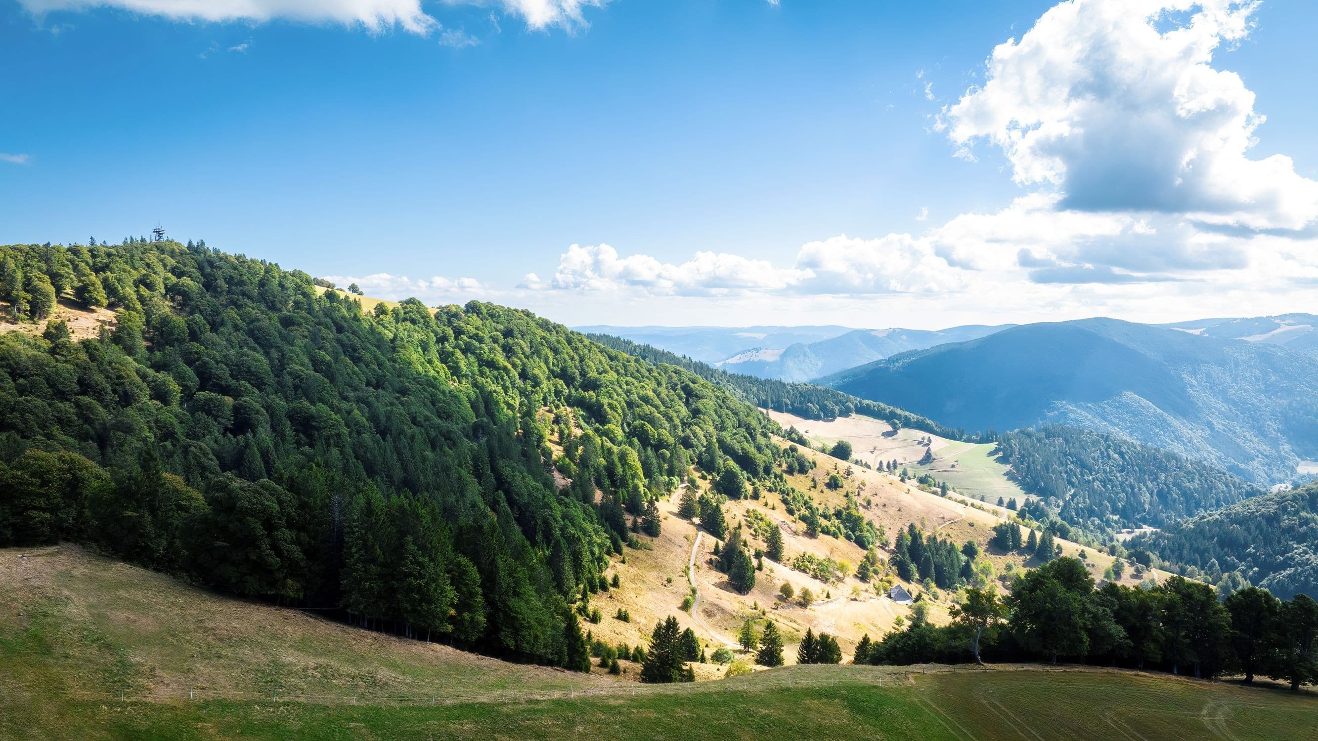 Blick auf bewaldete Berge und Wiesen
