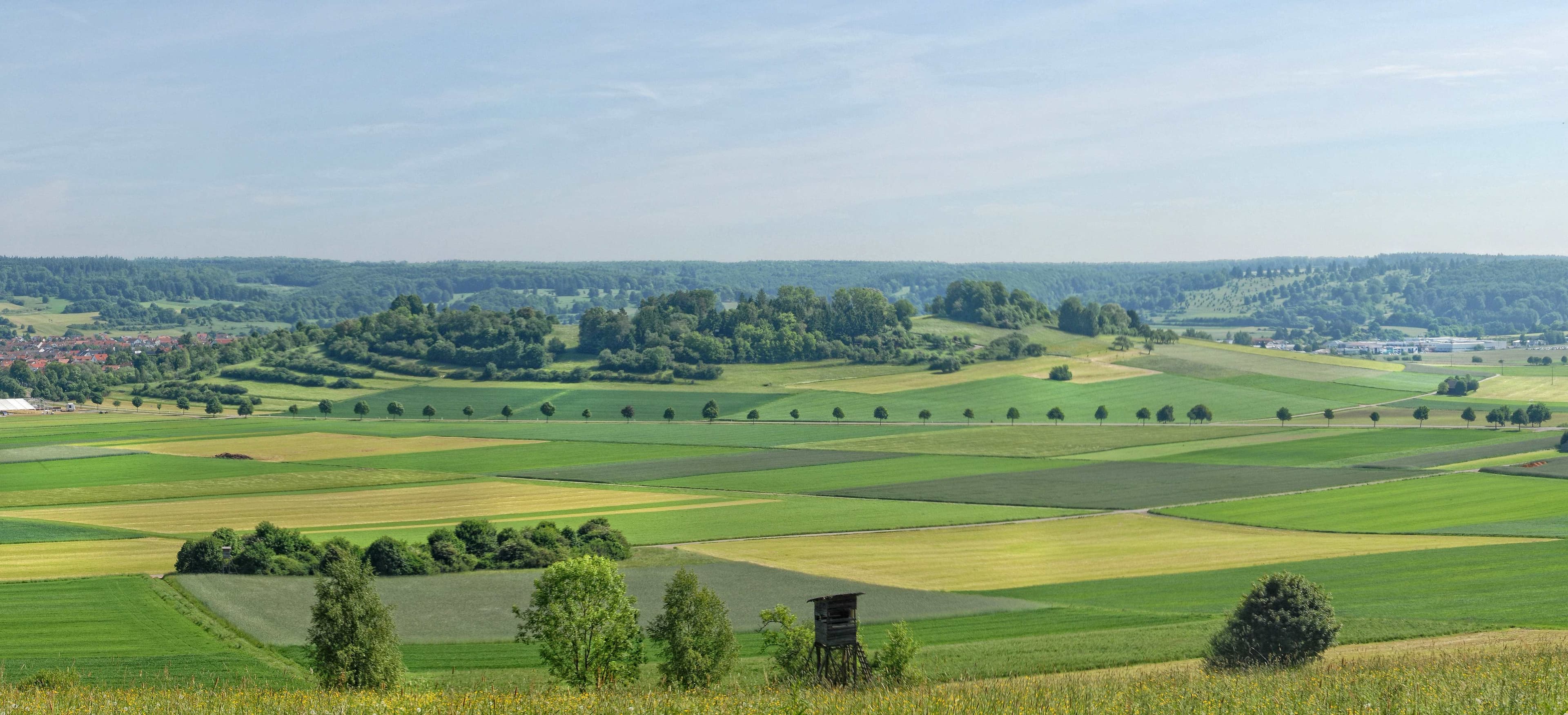Blick auf den Zentralhügel
