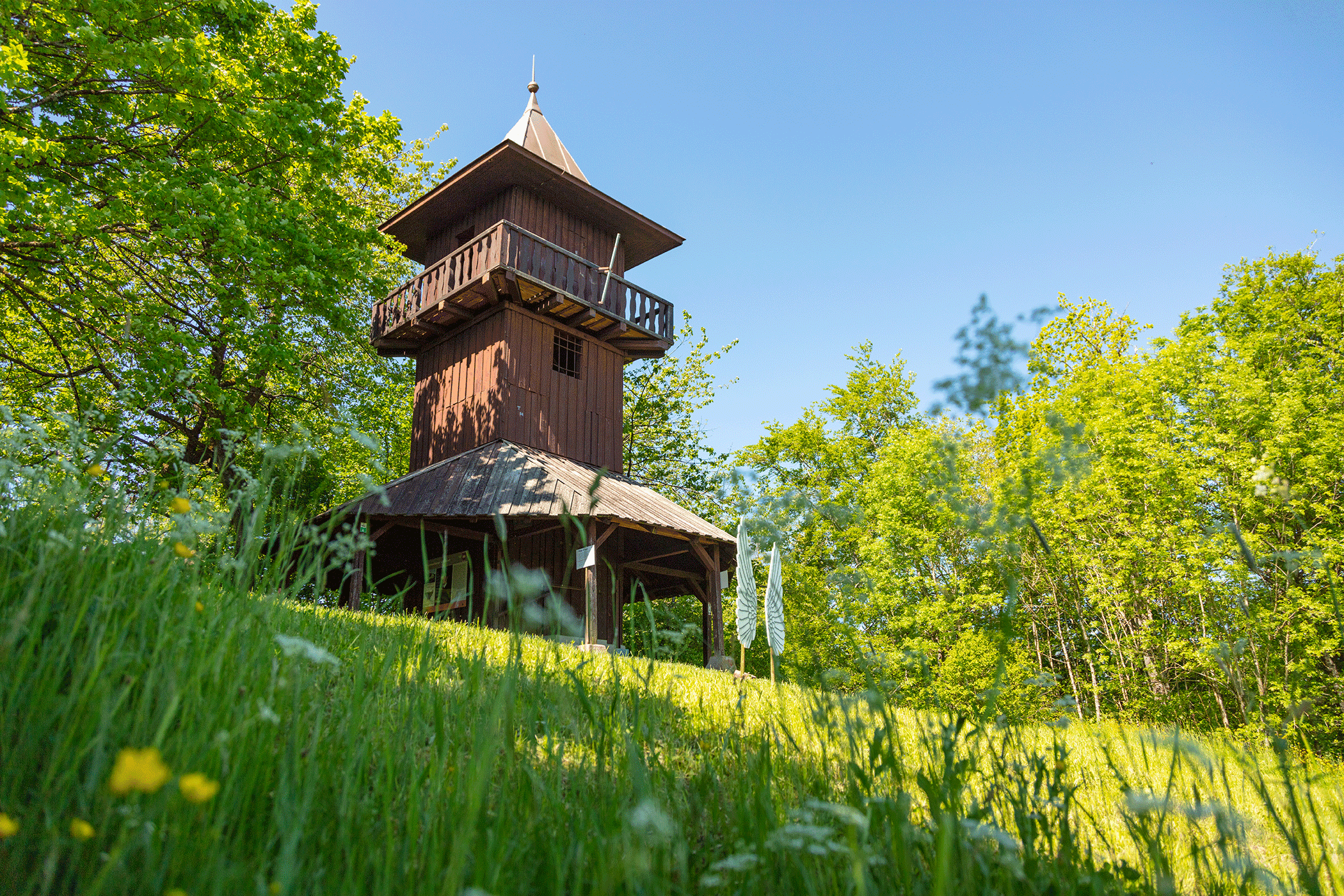 Ein hölzerner Aussichtsturm steht auf einer Wiese, umgeben von Bäumen und blühenden Blumen, unter einem klaren blauen Himmel.