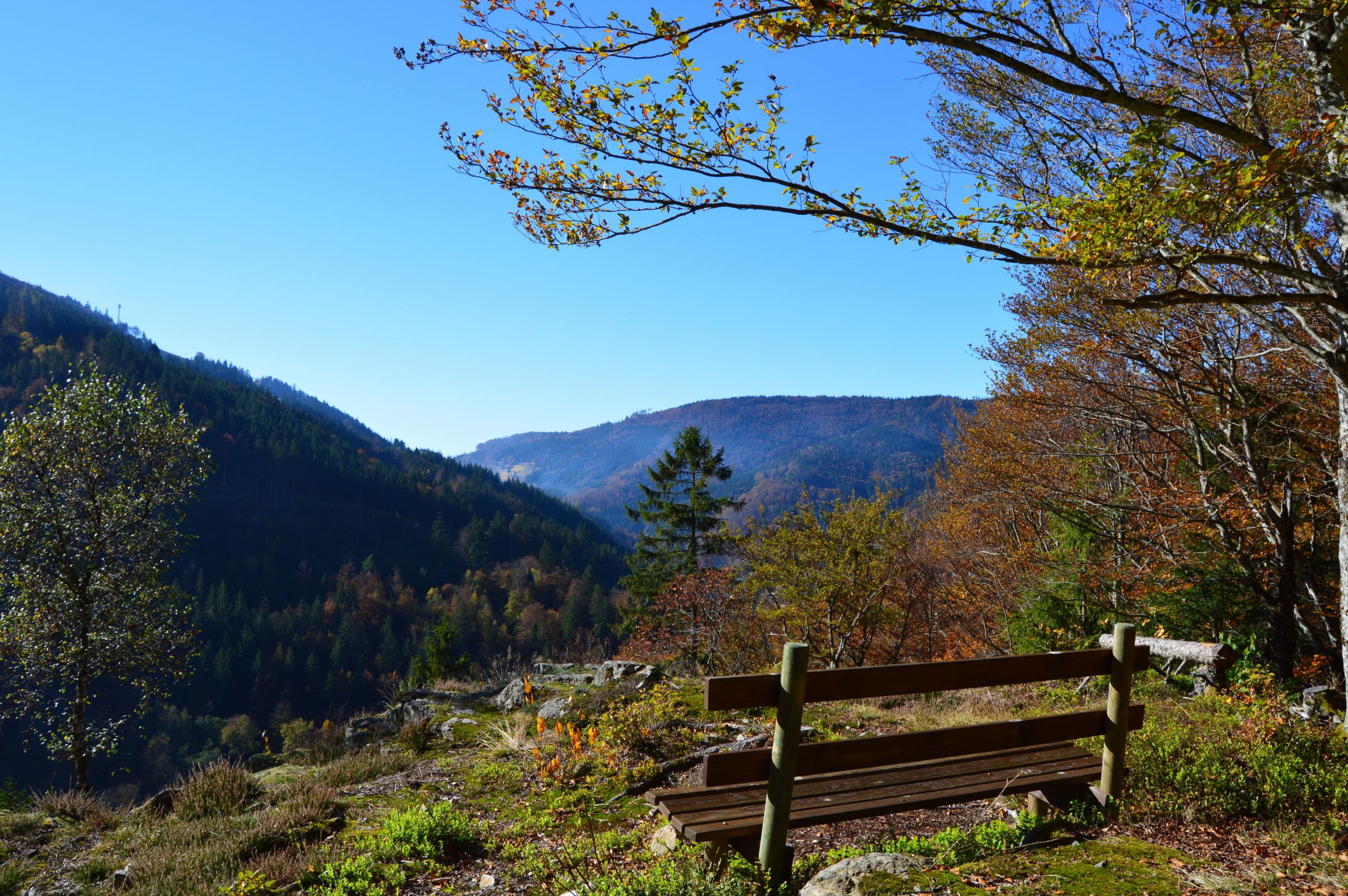 Aussicht vom Walter-Wagner-Weg