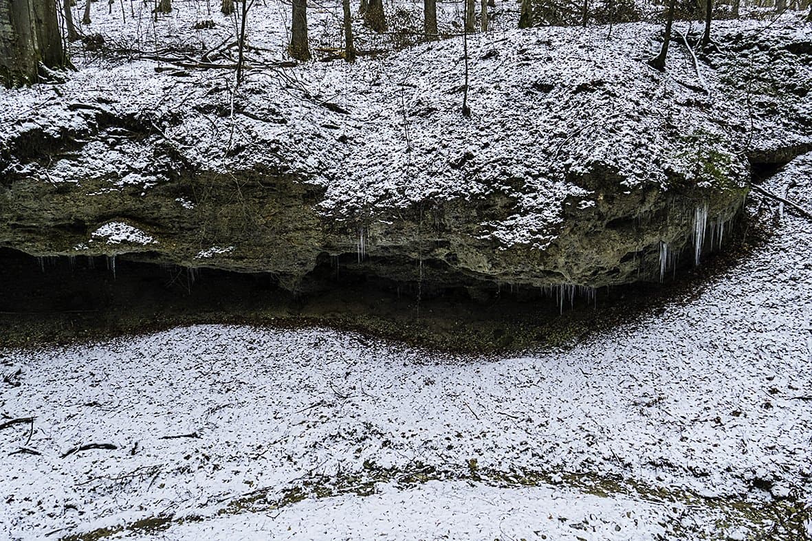 Nagelfluh outcrop
