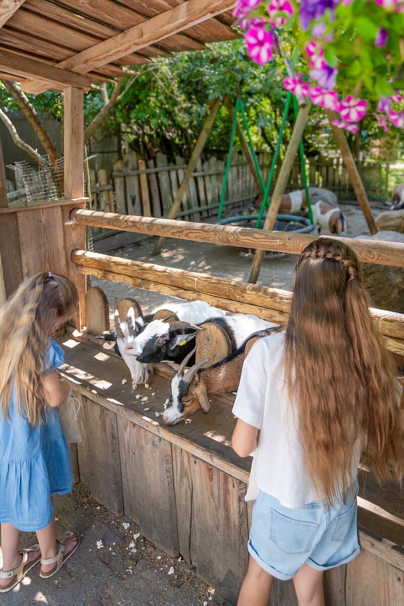 Kinder beim Füttern auf dem Haustierhof Reutemühle
